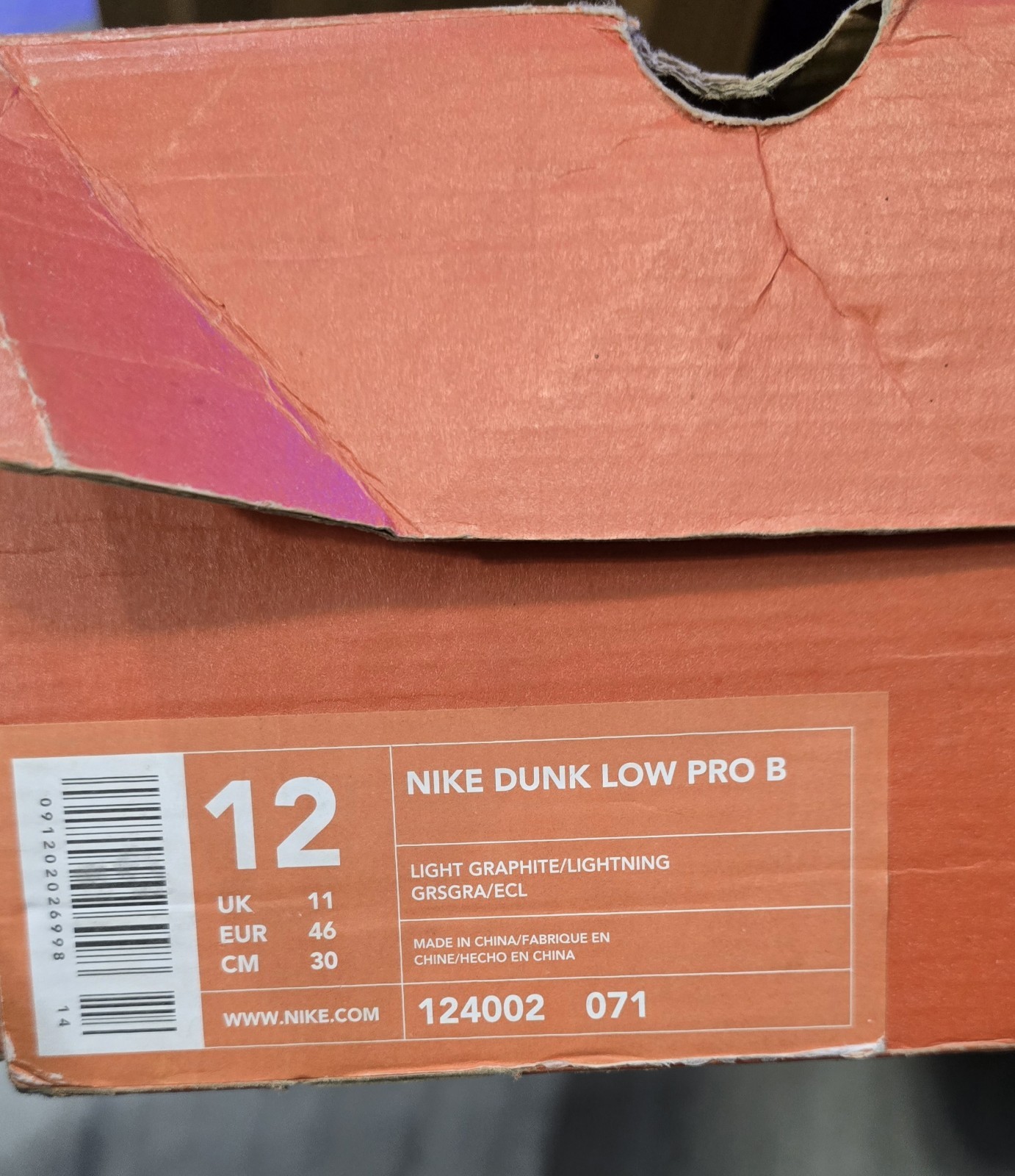 RARE Nike Dunk Low Pro B Lightning Dunk SB