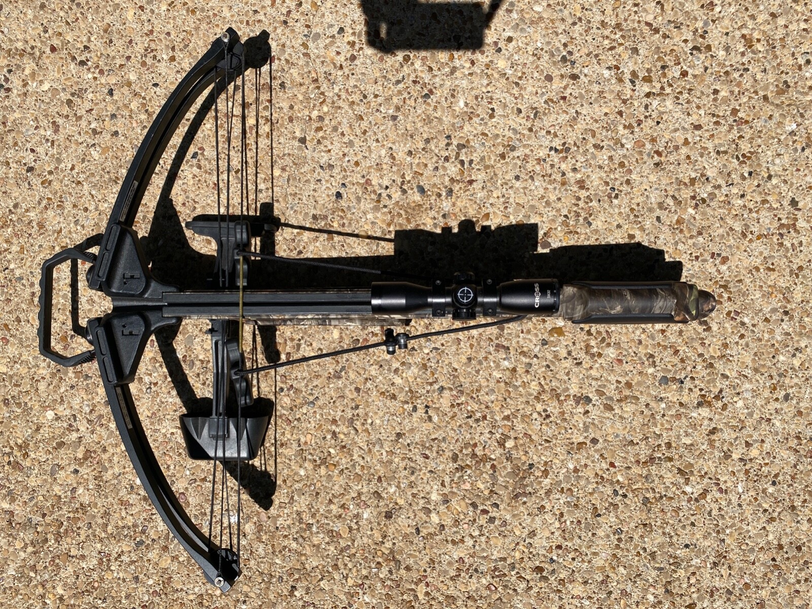 Barnett wildcat c5