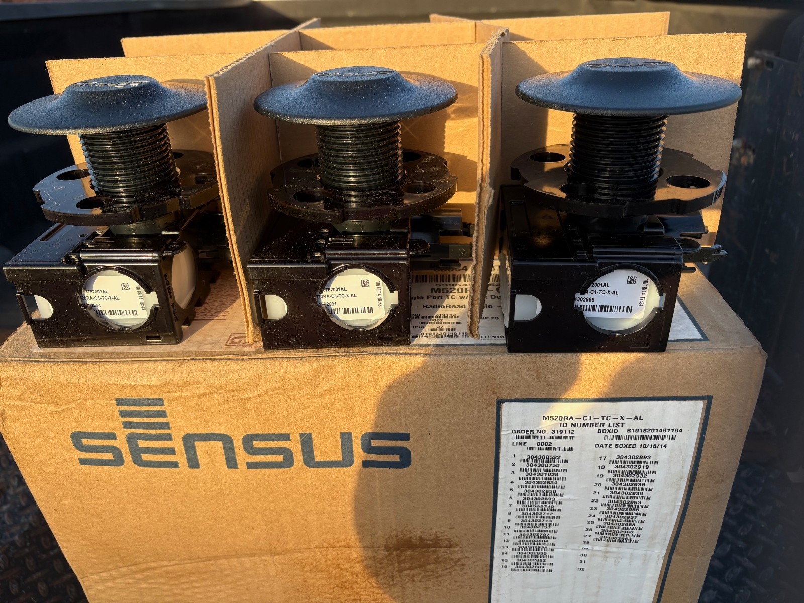 Sensus RadioRead FlexNet M520R (ALT)-C1-TC-X-AL Single Port