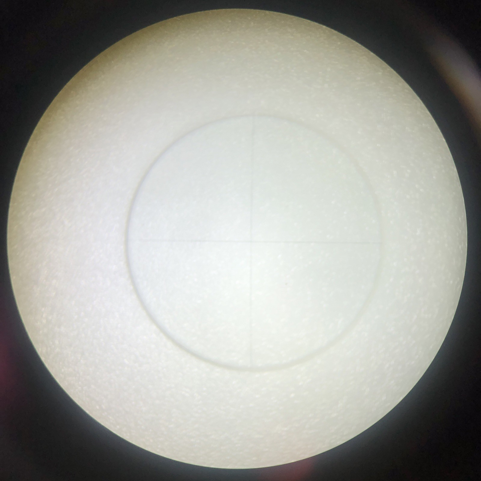 Microscope Glass Reticle With Cross Hairs 18.9mm Round Glass