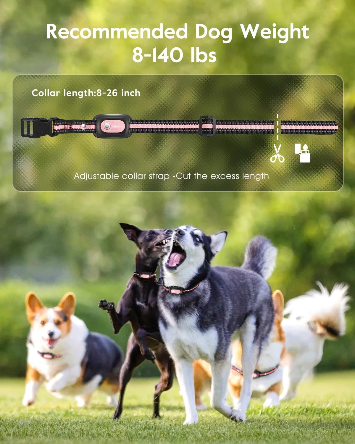 Dog Training Shock Collar 4200FT Remote Waterproof E-Collar with Vibration