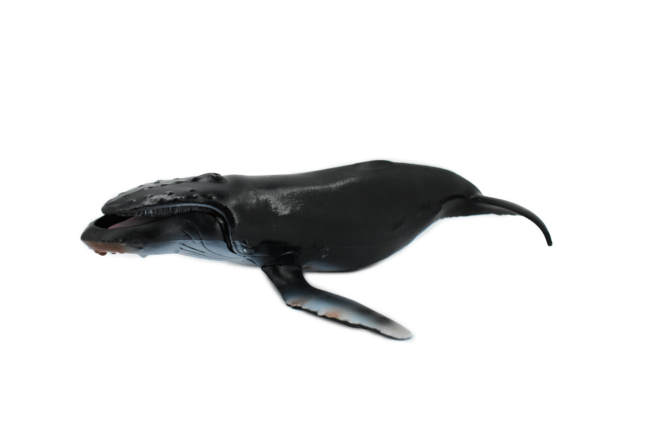 Humpback Whale, Hand Painted, Realistic Toy Figure, Model, 11" CH159 BB110