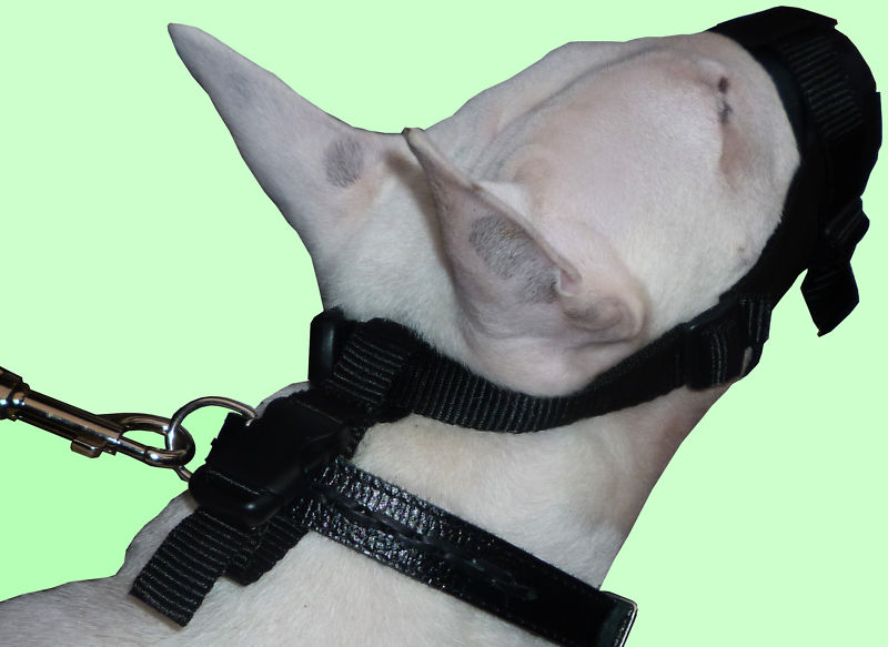 Adjustable Nylon Dog Grooming Black Muzzle No Bite 7.5"-10" snout size, Medium