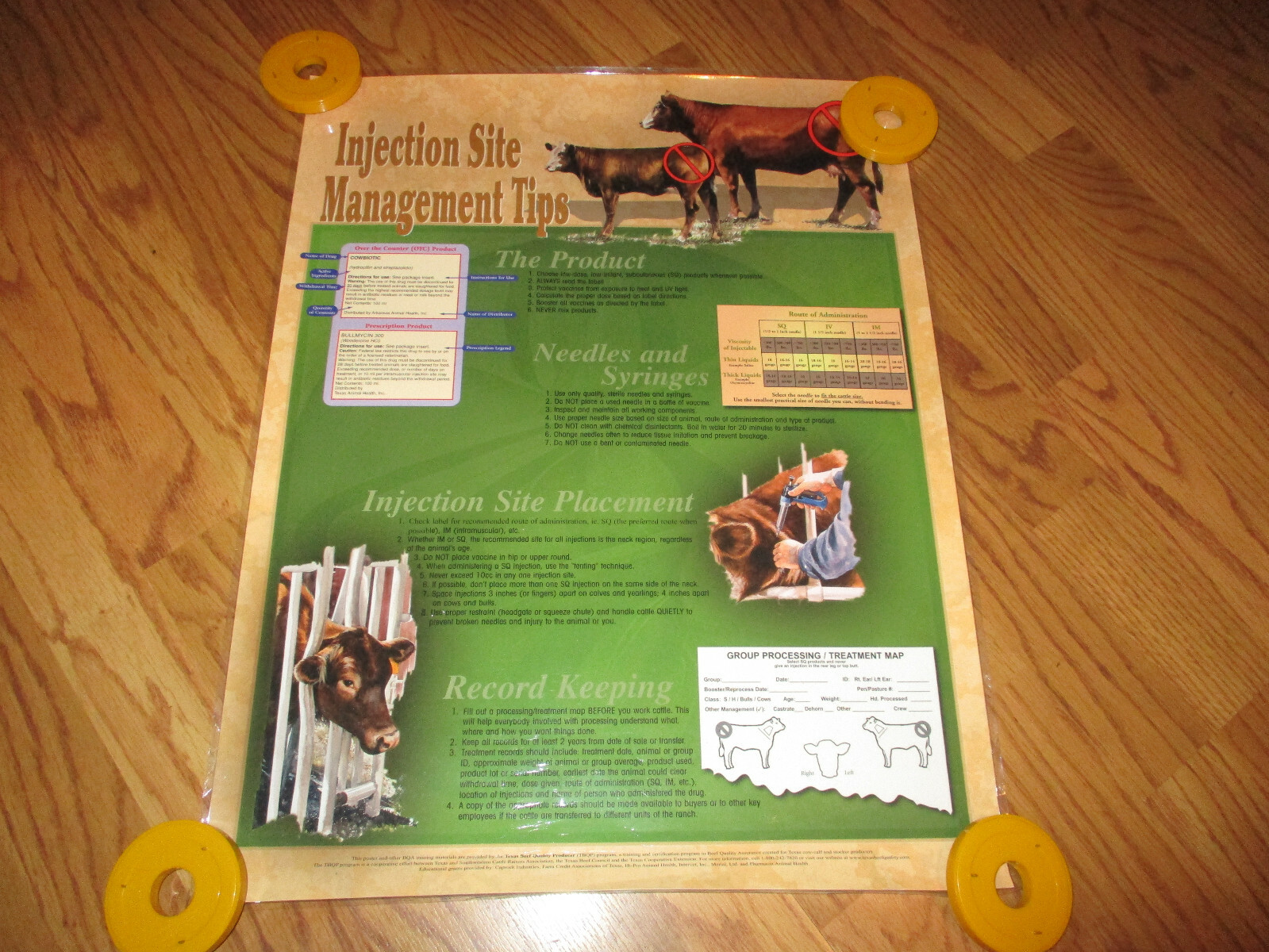 Texas Beef Quality Producer~Laminated Poster~Injection Site Tips~22.0" x 17.25"