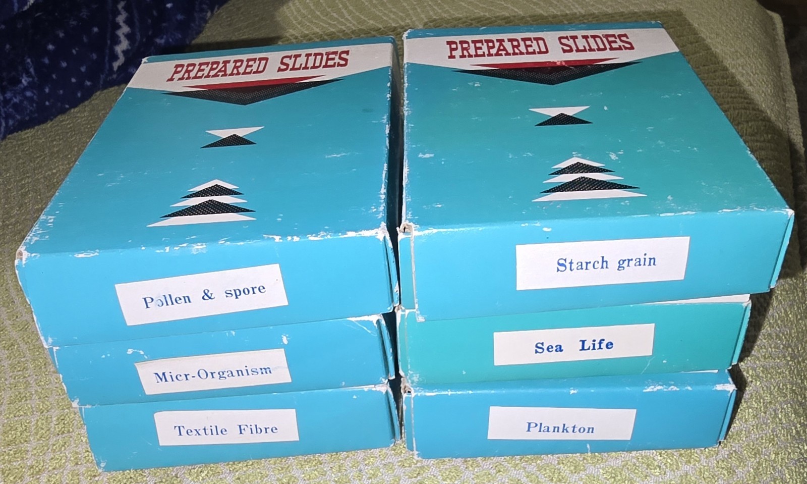 6 Boxes Prepared Microscope Slides, 12 Slides per box, Specimen's Vintage 1960's