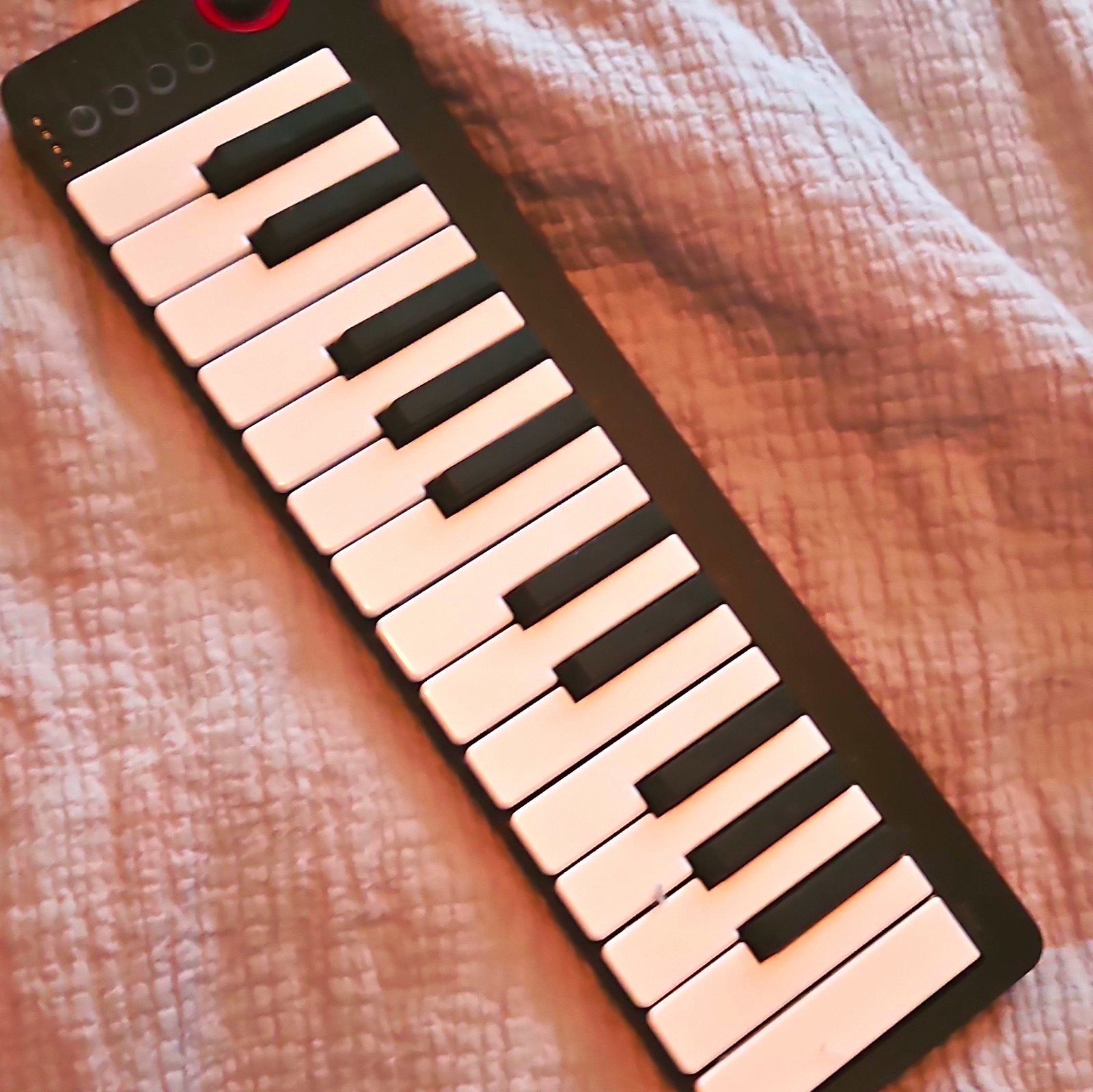 25-Key Mini MIDI Keyboard Controller with Piano Keys, Black/White
