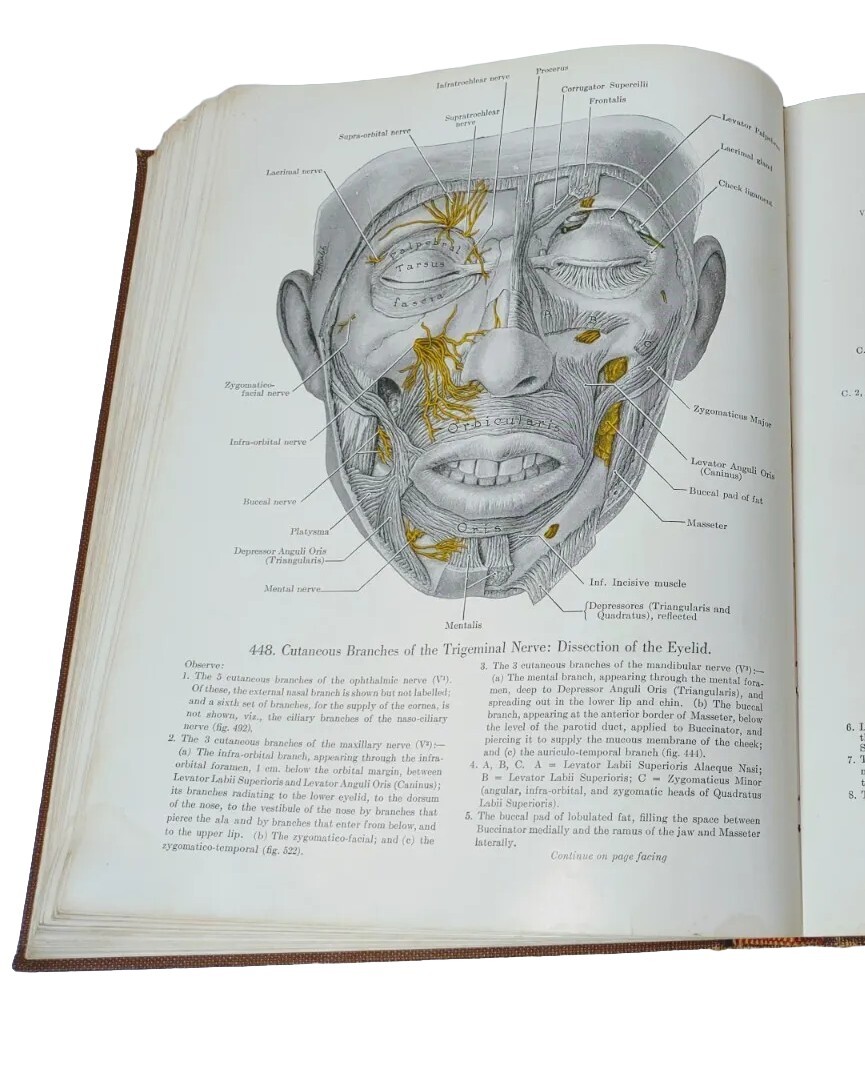 Book: AN ATLAS OF ANATOMY by Grant- FOURTH Edition Vintage Medical Book