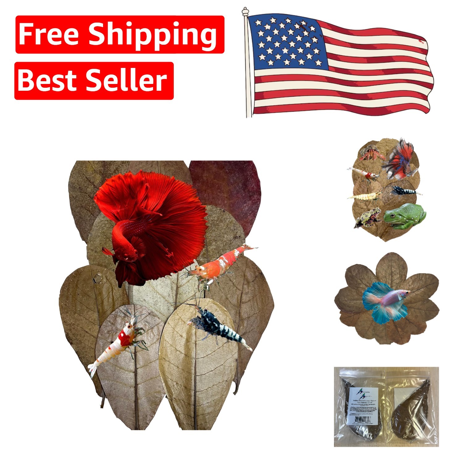 10 Pack  Indian Almond Leaves for Betta & Shrimp - Natural Blackwater Treatment