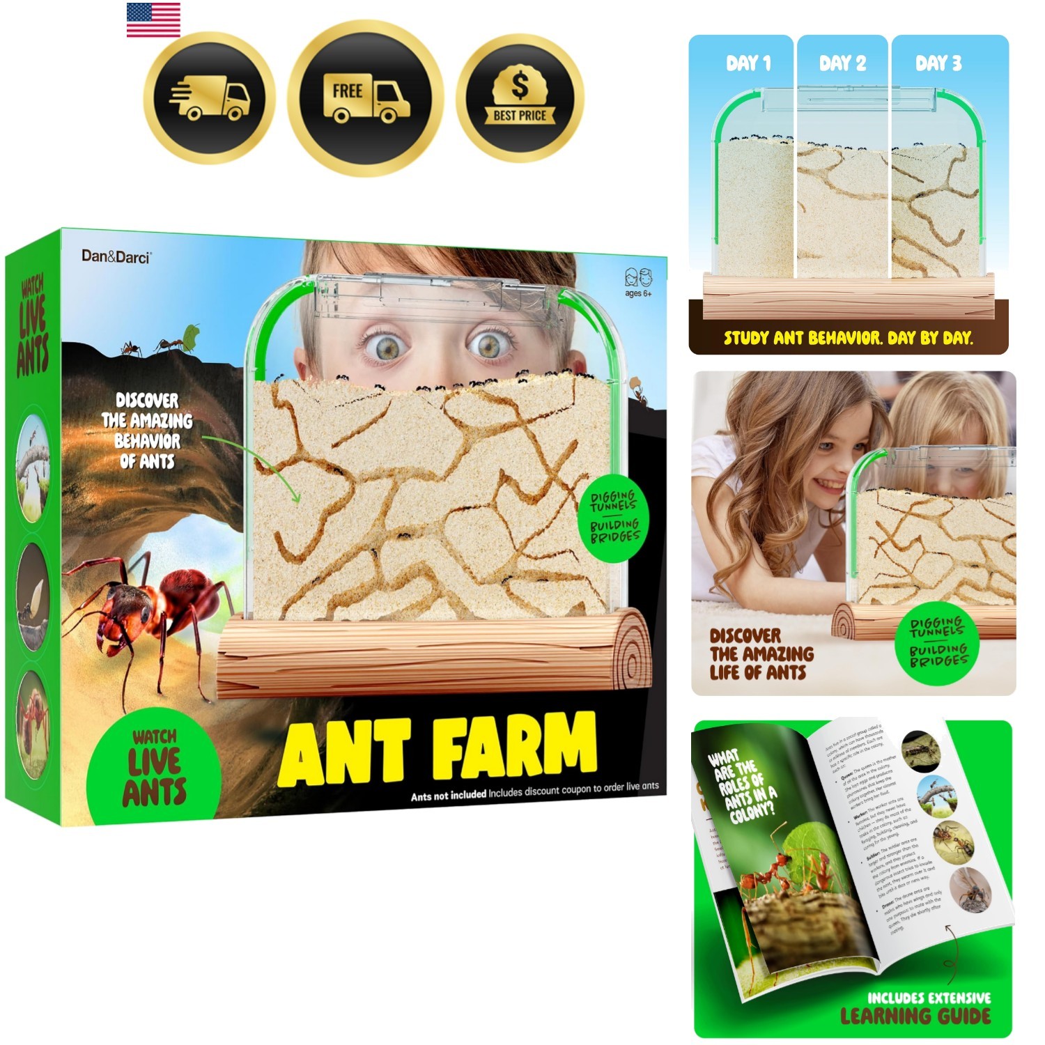 Ant Farm Kit for Kids - Farms Colony - Includes Ants Voucher - Sand Habitat K...