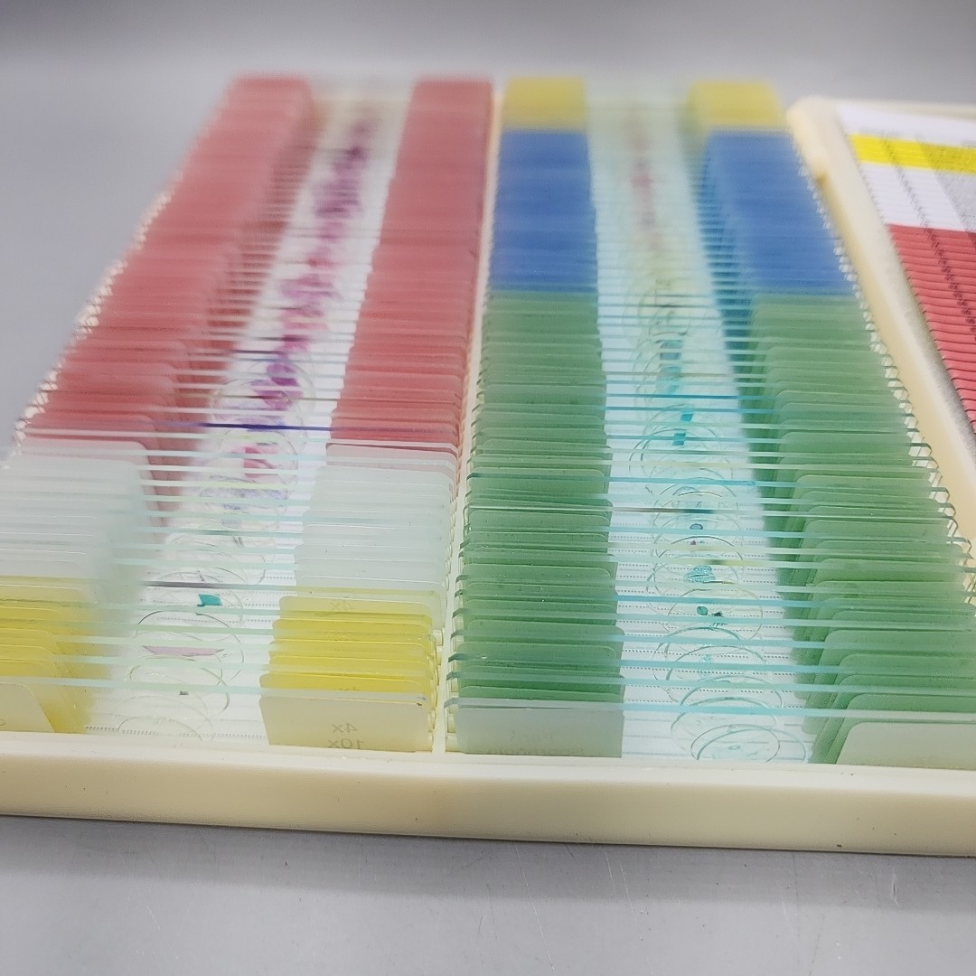 120 Lab-Grade Microscope Slides Set - Prepared Specimens for Kids & Adults, STEM