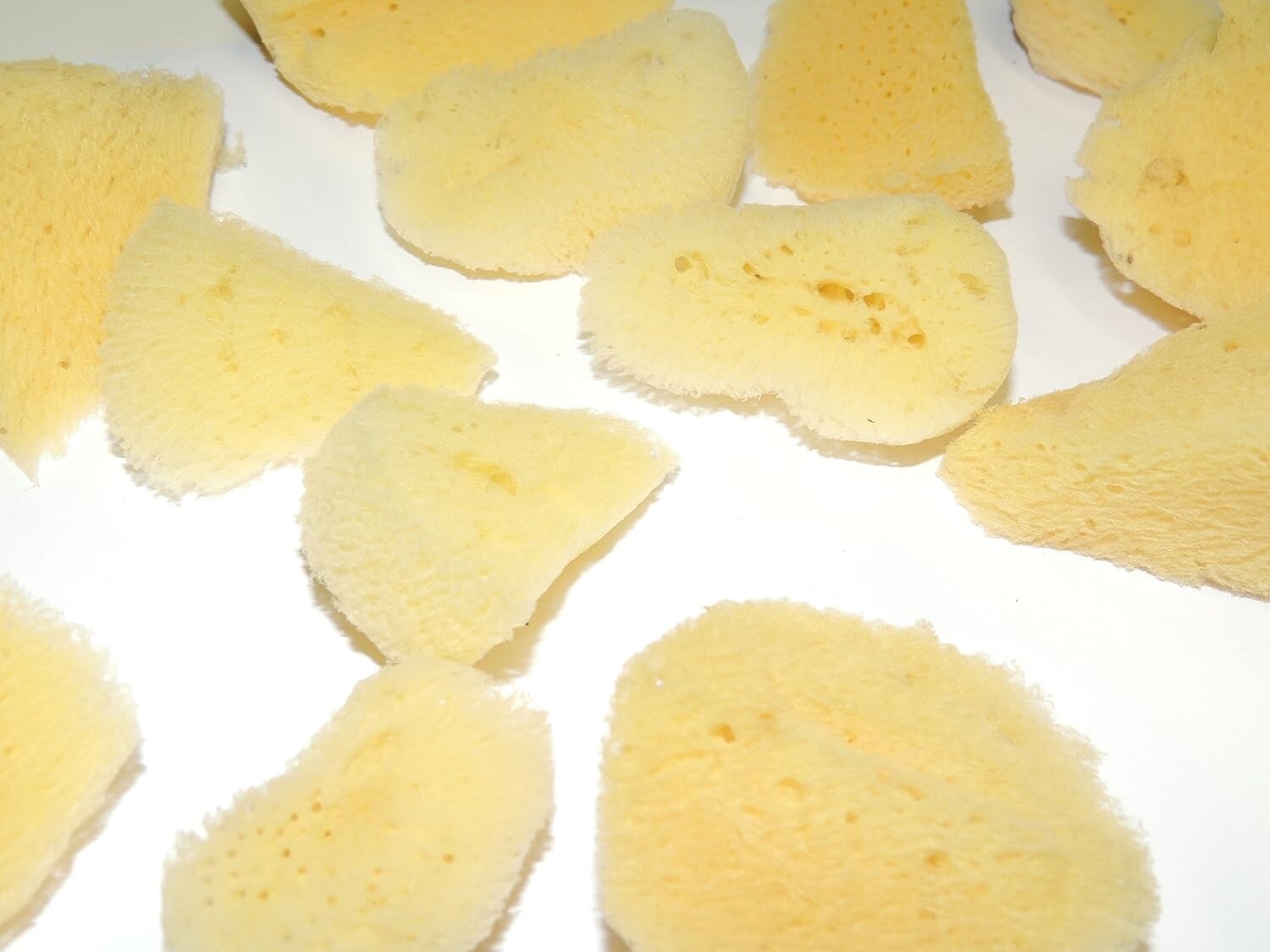 8 Pack Natural Silk Sea Sponge Wedge Assortment - Painting Faux Paint Arts Craft