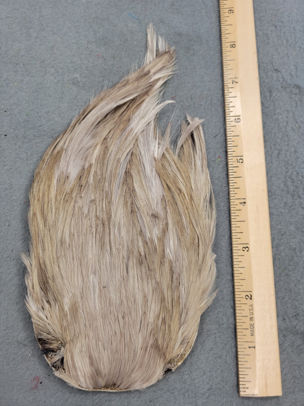 Lot 264, Grade B, DYED DUN  India Rooster Streamer Neck Cape Feathers