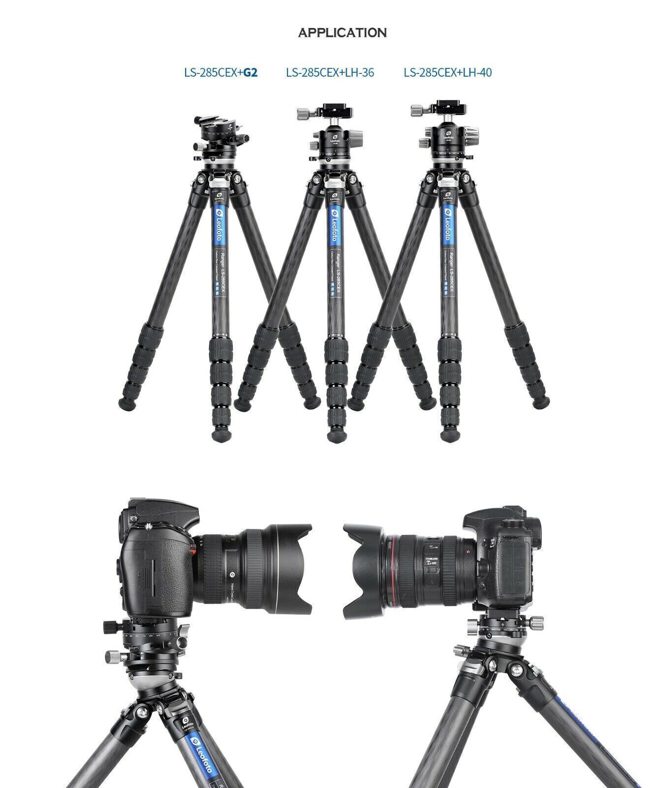 Leofoto Ranger LS-285CEX Leveling Base Tripod