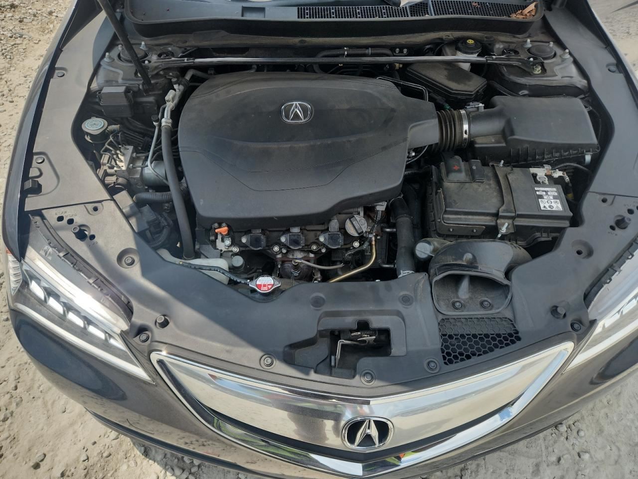 TLX 2016 Glove Box 4790332