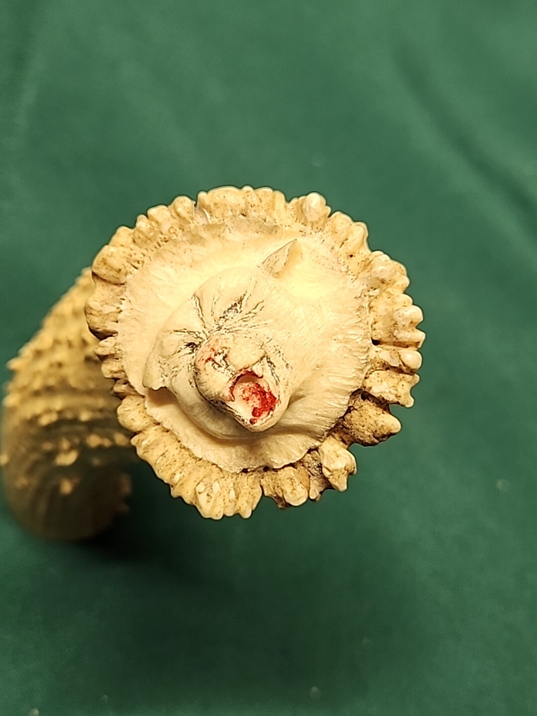 Carved Handle For Knife