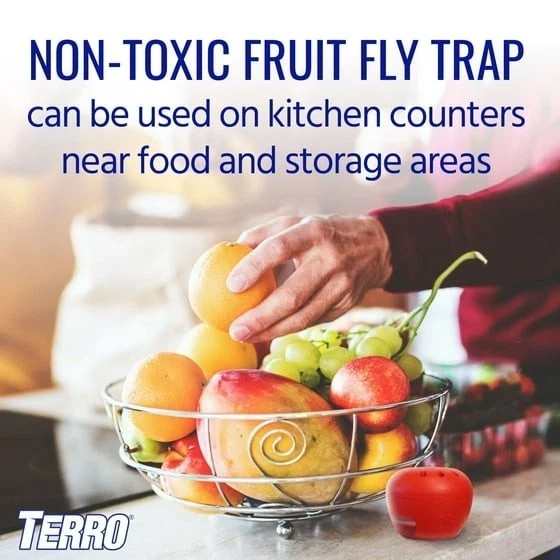 Indoor Fruit Fly Trap, (2-count) , Terro Traps, In Built With Window Sinks...