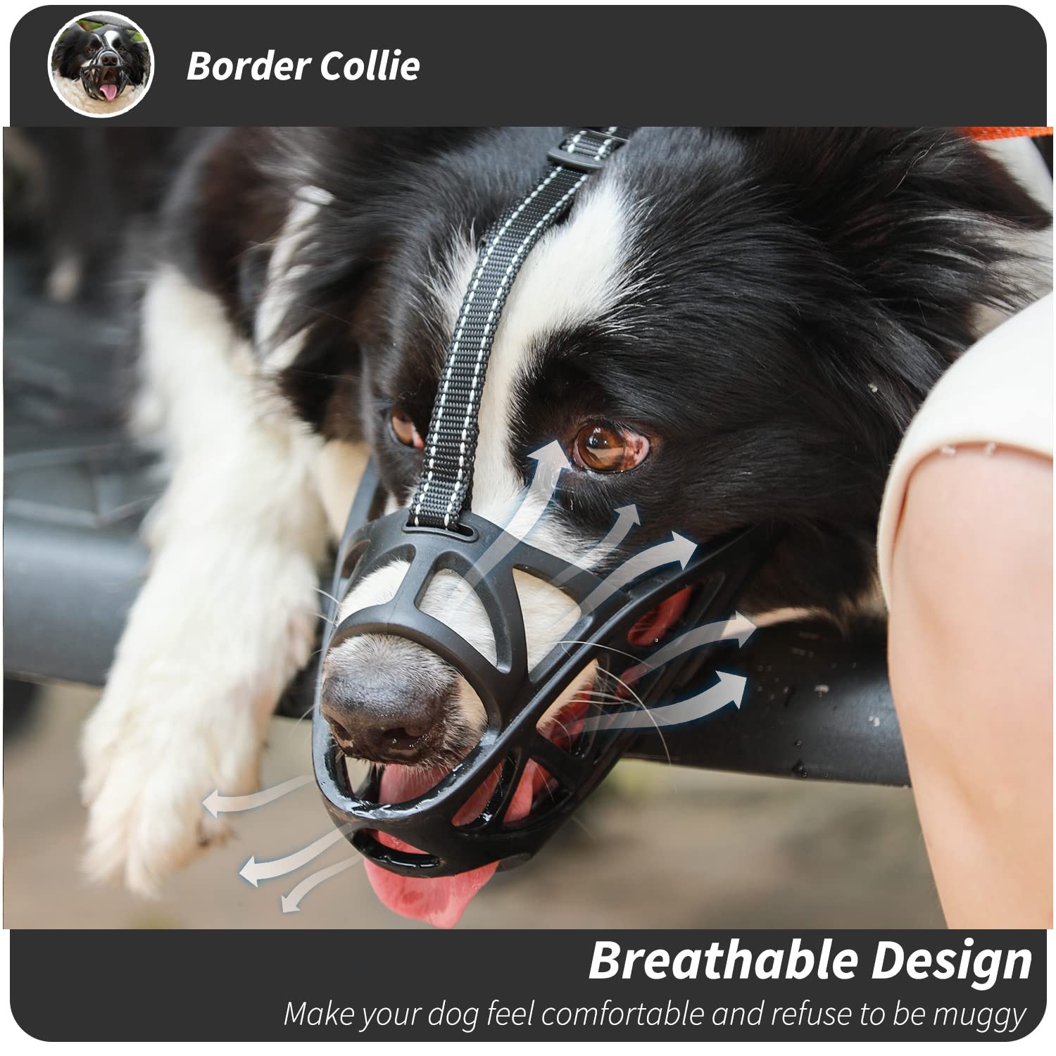 Dog Muzzle Soft Basket Muzzle for Medium Large Sized Dog Labrador Golden Germ...