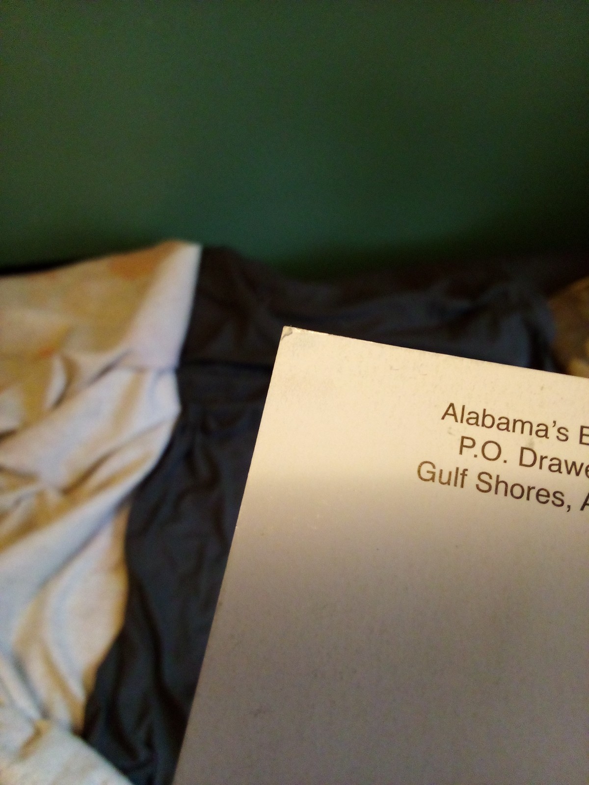 Alabama's Beaches 2026 Official Vacation Guide
