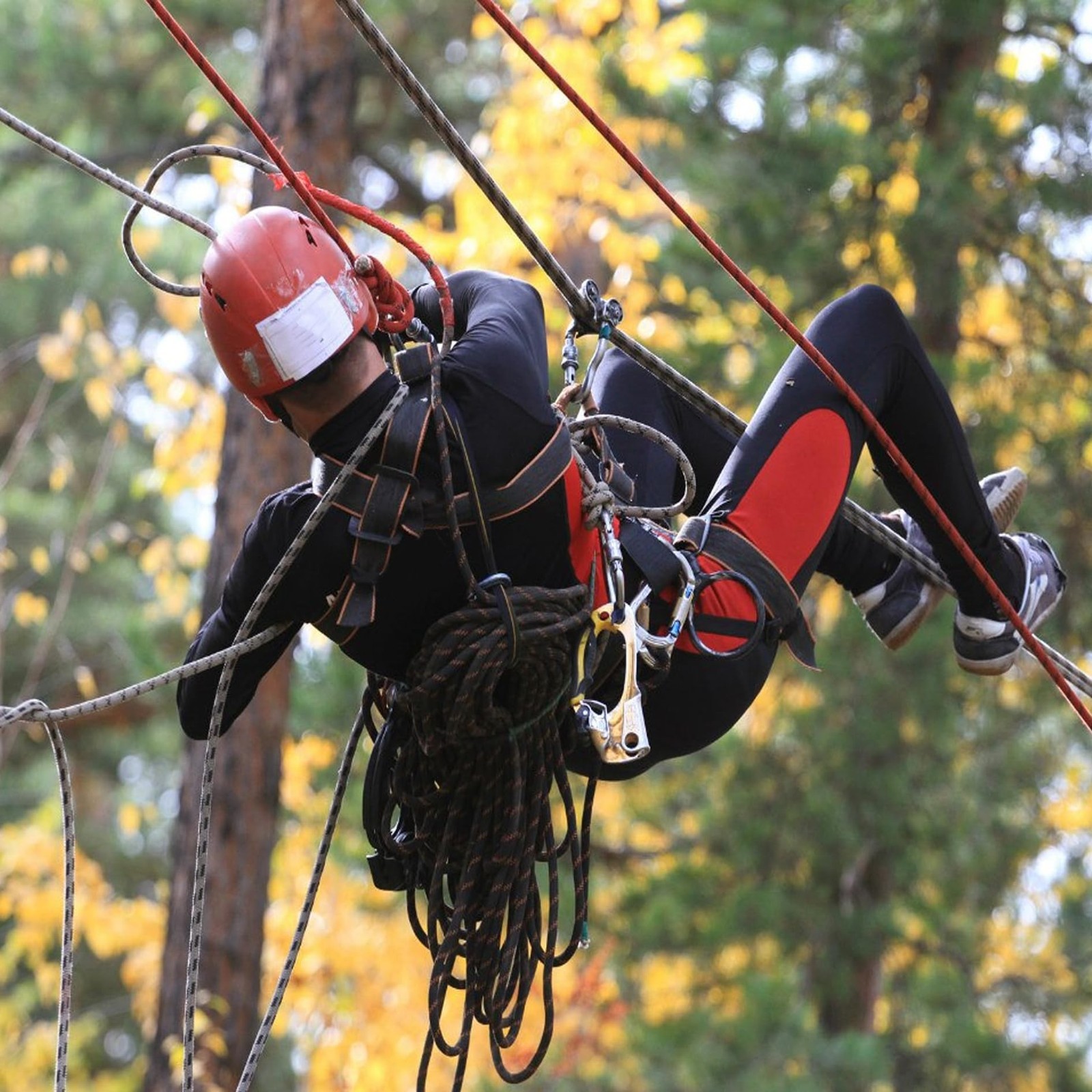3/8 in Braid Polyester Rope, 100 FT Arborist Rigging Rope for Camping Swings ...