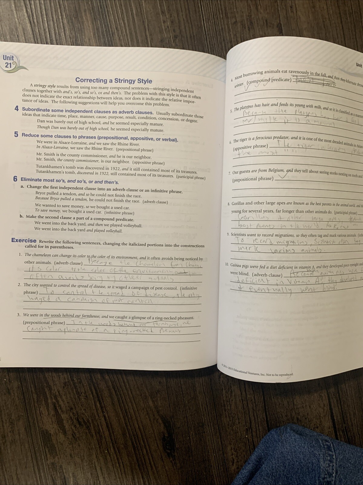 A Beka Grade 10 - Grammar & Composition IV Student Work-Text Fourth Edition