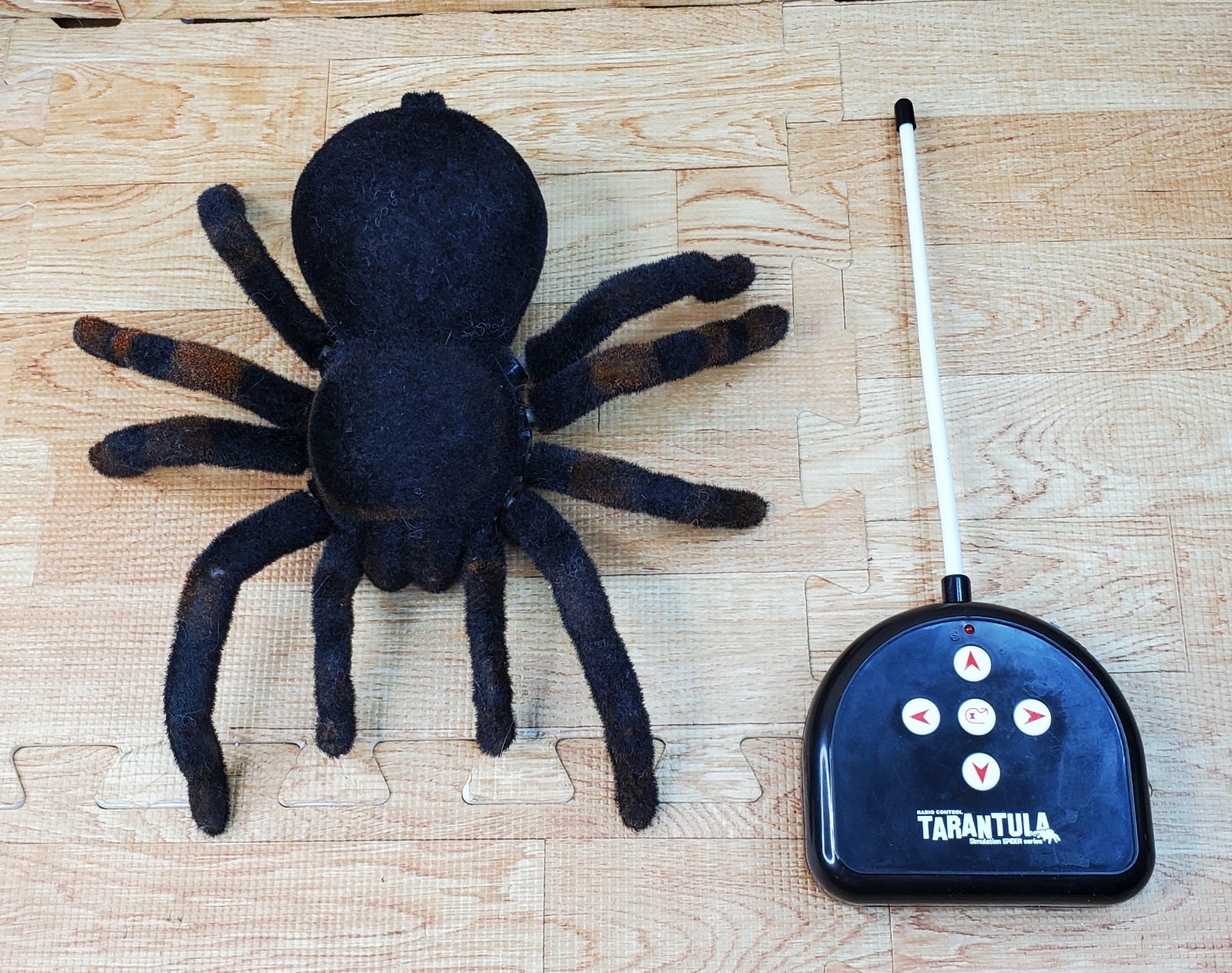 Radio Controlled Tarantula Simulation Spider Series Blue Eyes Tested Works