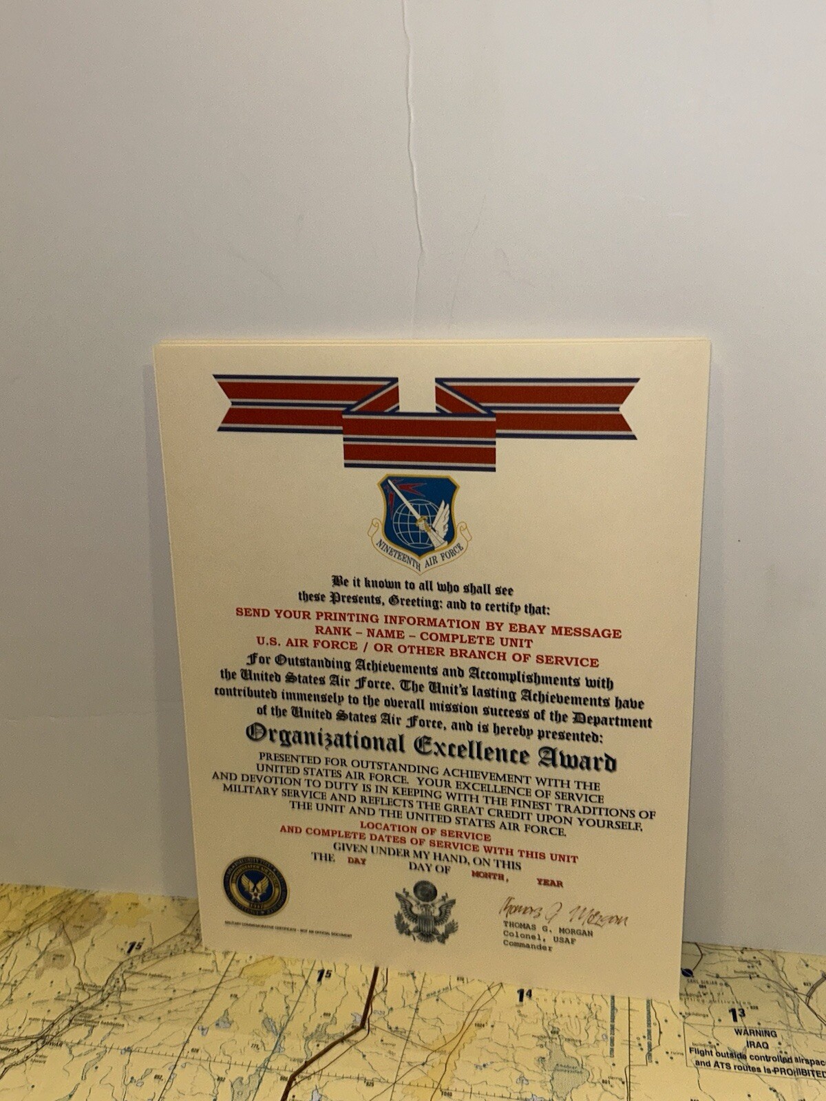 U.S. AIR FORCE / 19TH AIR FORCE - ORGANIZATIONAL EXCELLENCE AWARD CERTIFICATE