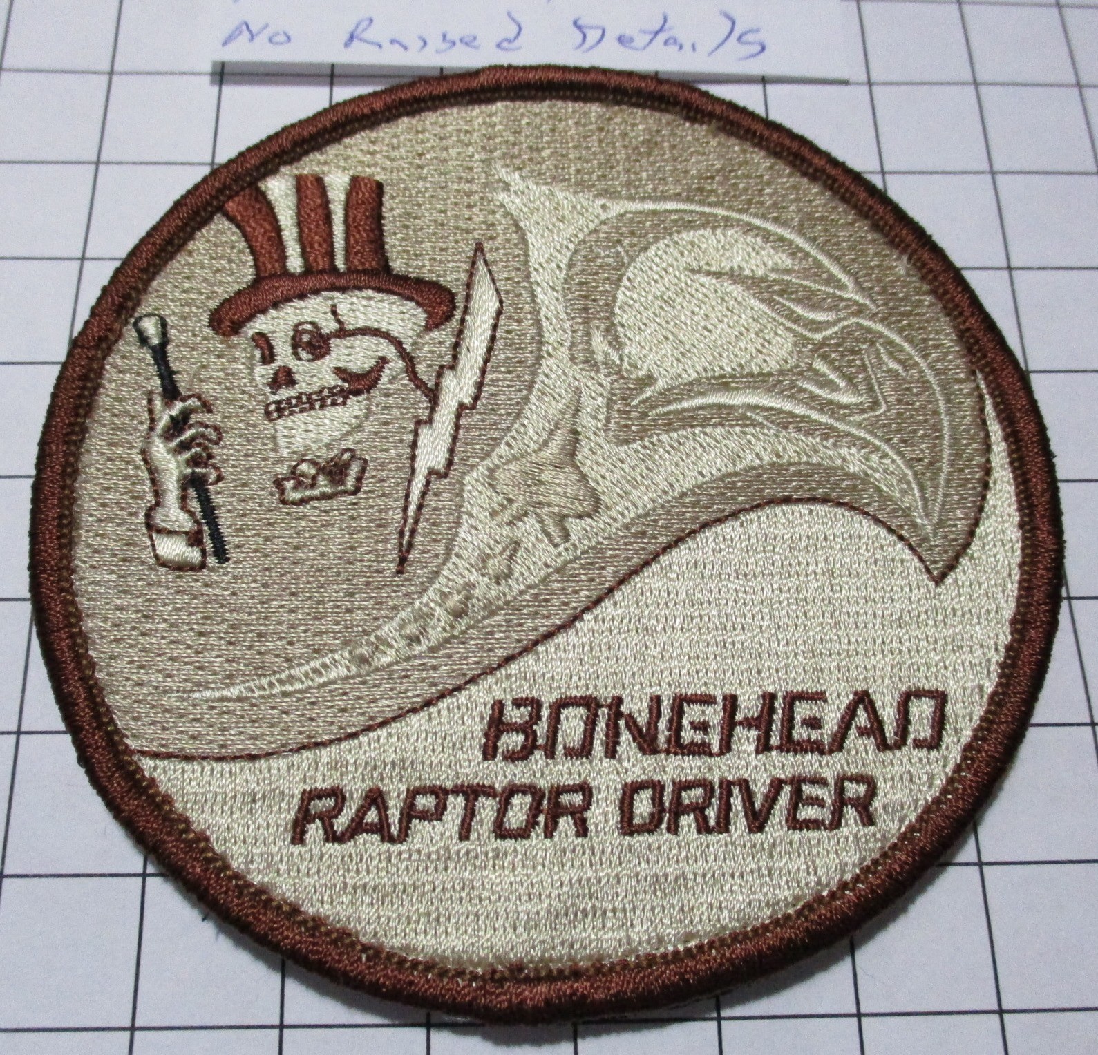 USAF MILITARY PATCH: #13372 95TH EXP FIGHTER SQUADRON F-22 RAPTOR DRIVER TAN
