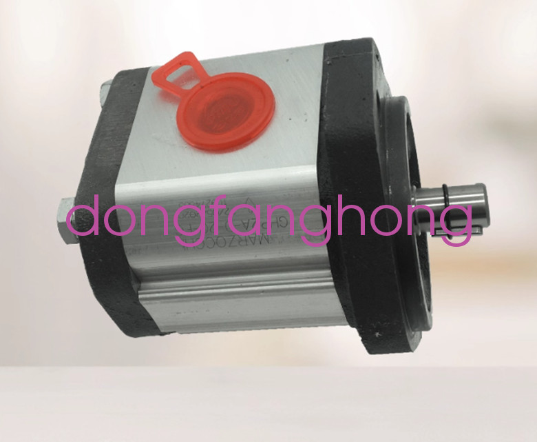 new MARZOCCHI high pressure gear pump GHP2A-D-20-FG oil pump FedEx or DHL or UPS