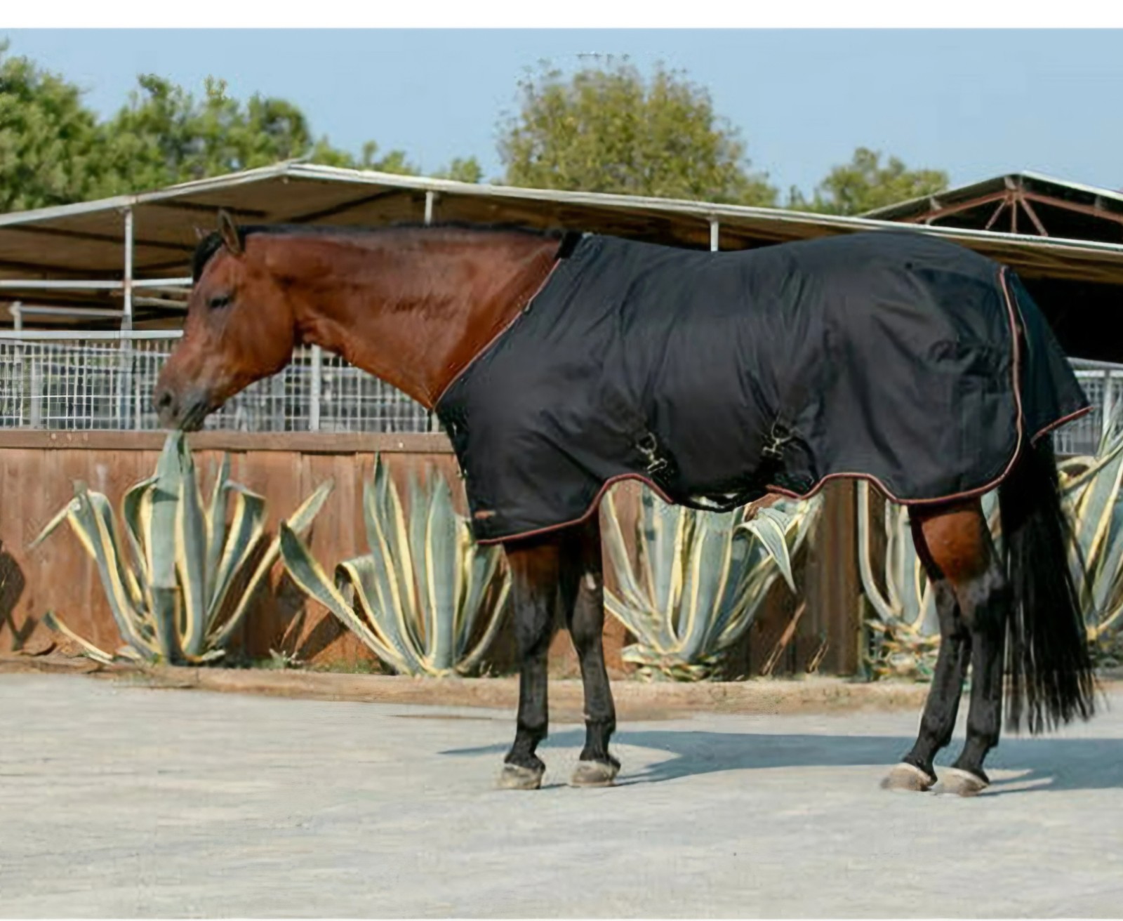 Kensington Black Heavy Weight Turnout Blanket, 300 Gram, Size 78- Used Good Cond