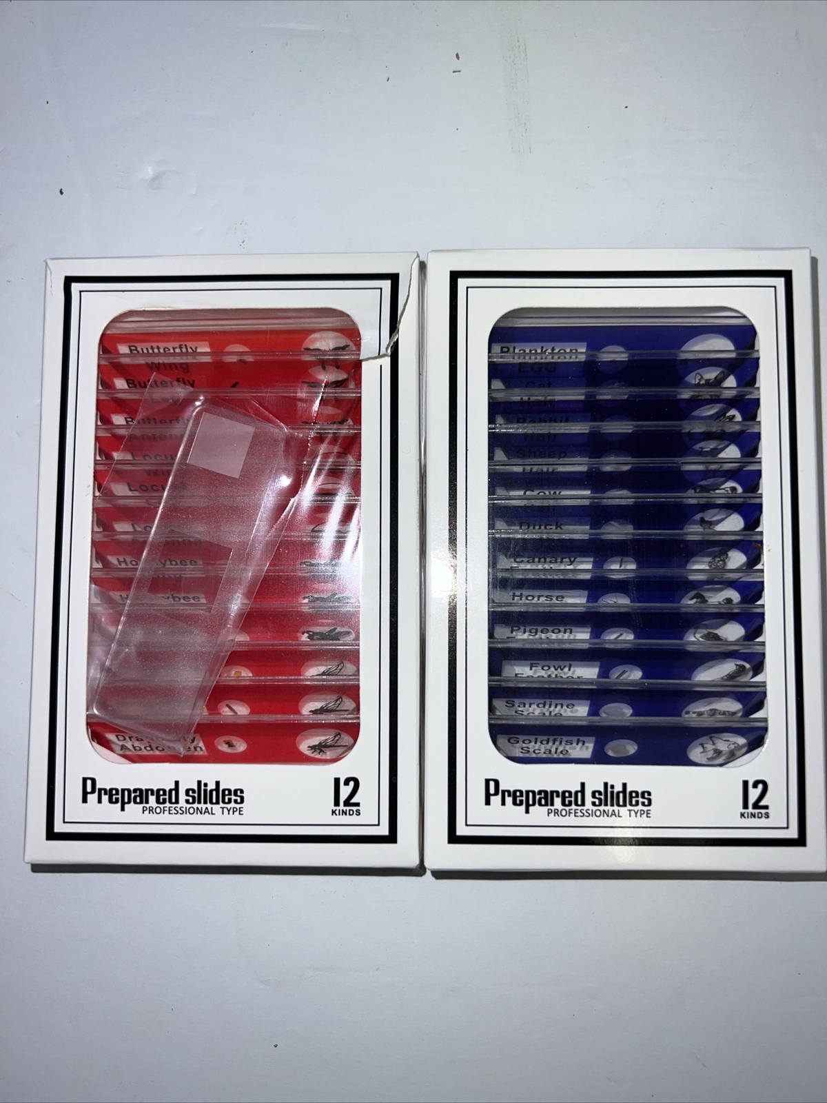 Set of 24 Prepared Microscope Slides - Perfect for Home School Science