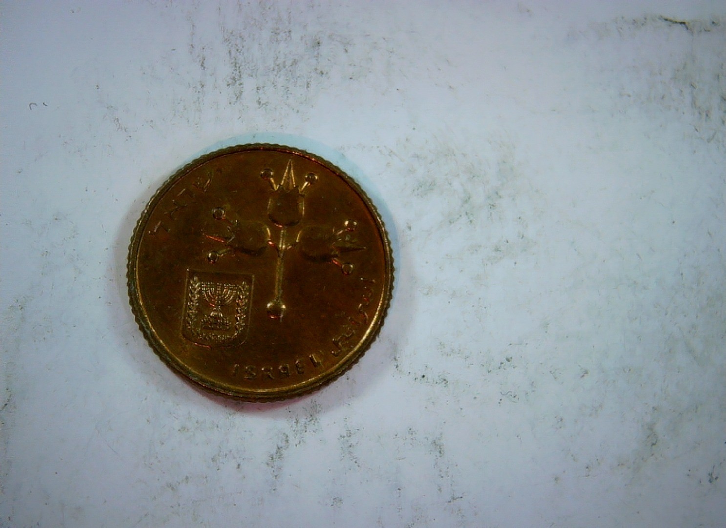Coin