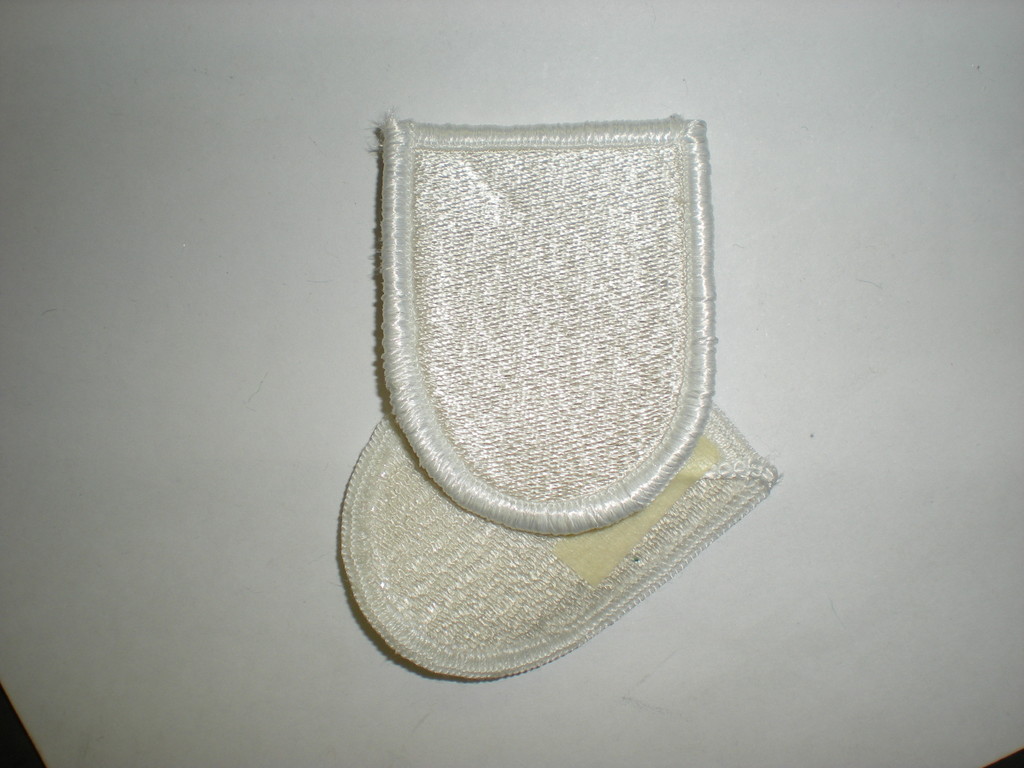 US ARMY SPECIAL FORCES TRAINING GROUP BERET FLASH