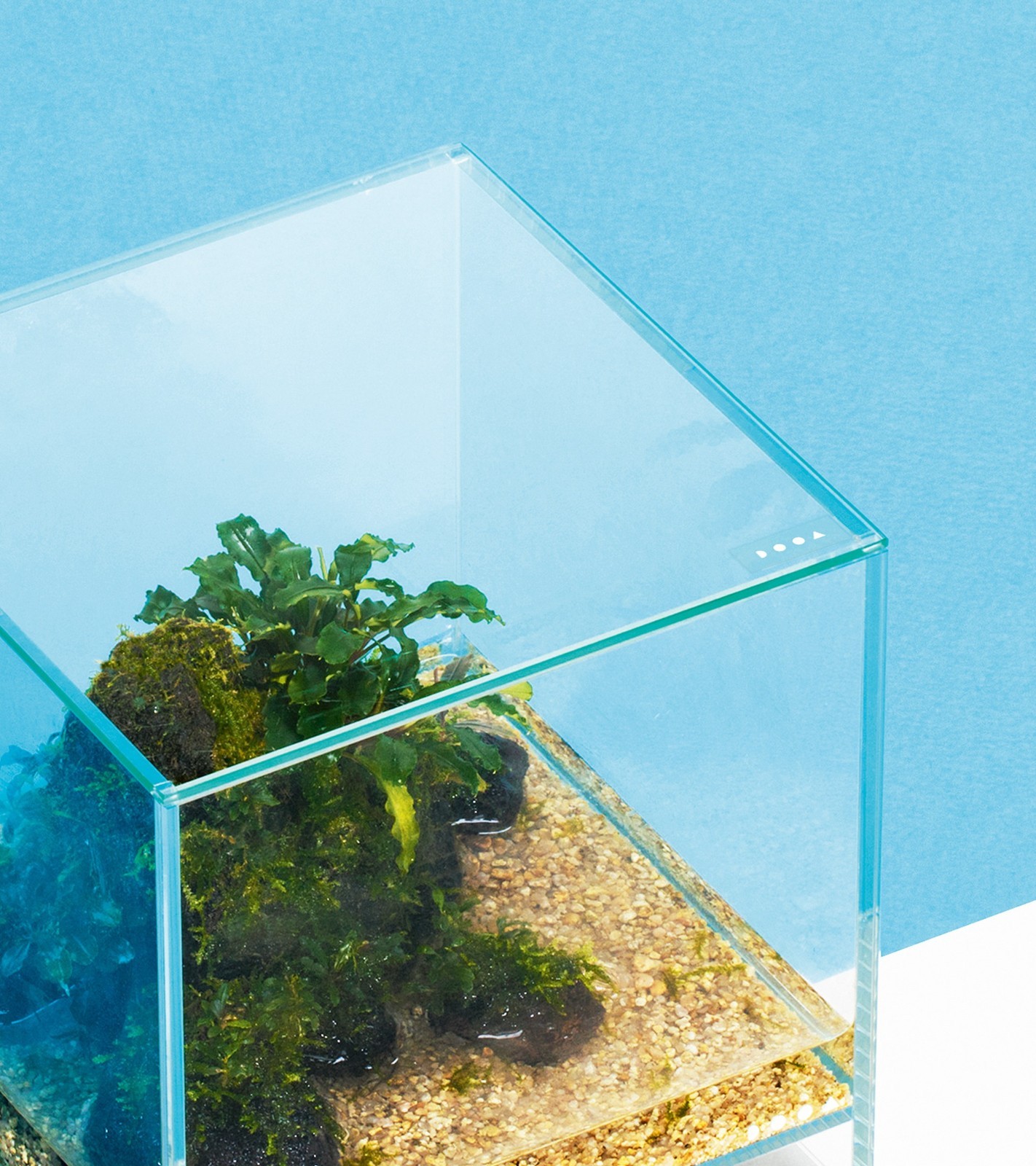 ADA DOOA Aqua Design Amano Neo Glass Air Dedicated Glass Lid 200×200 (mm)