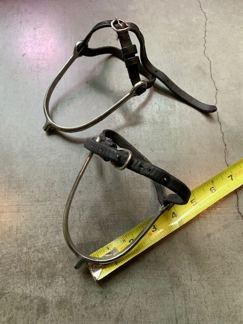 Angled Blunt Tip English Riding Spurs and Straps