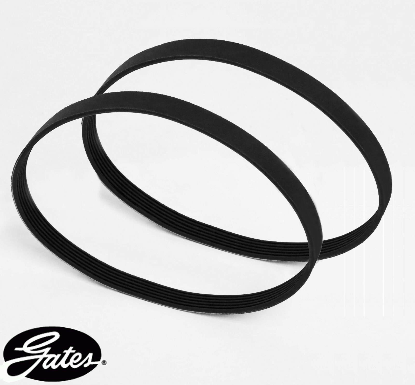 2X GATES CRAFTSMAN POLY V DRIVE BELT 816439-2 FOR SEARS 12" BAND SAW 11324 200J