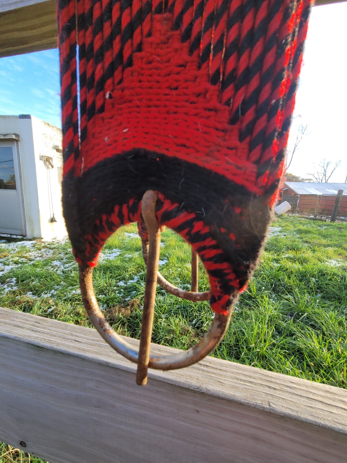 Horse Cinch Mecxican Charro