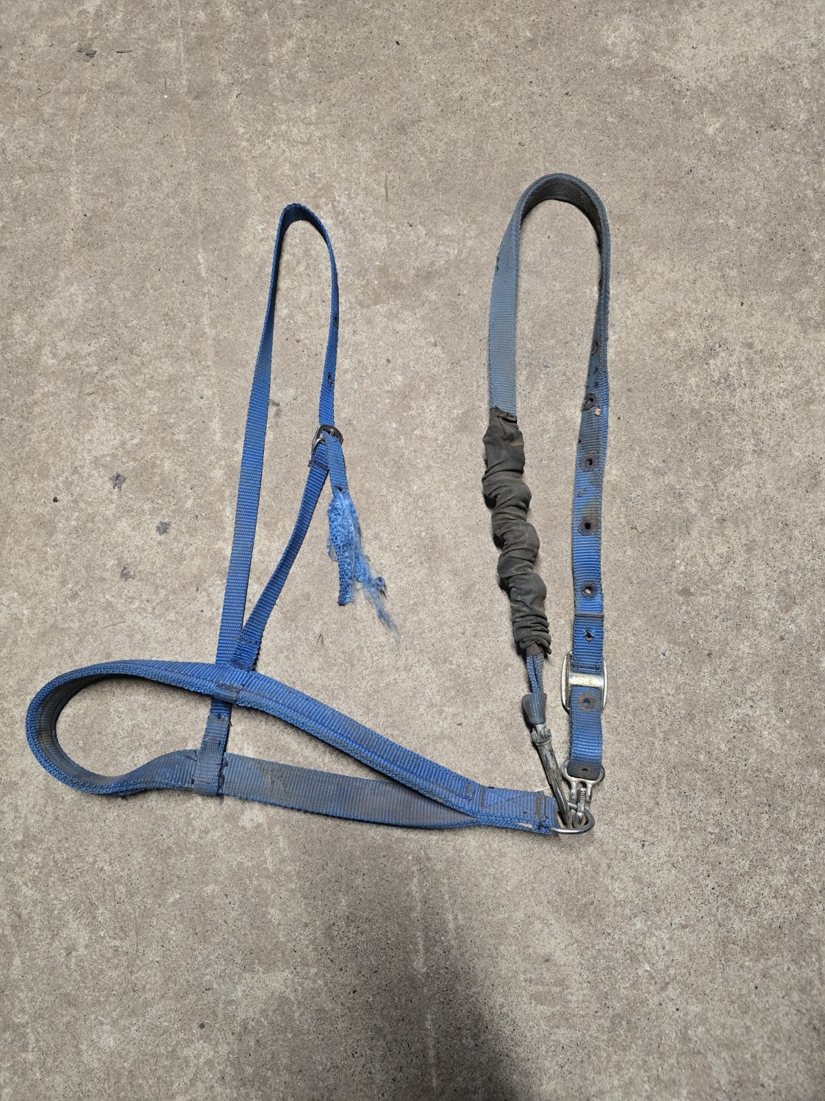 Blue Nylon Horse Sized Tie Down Used