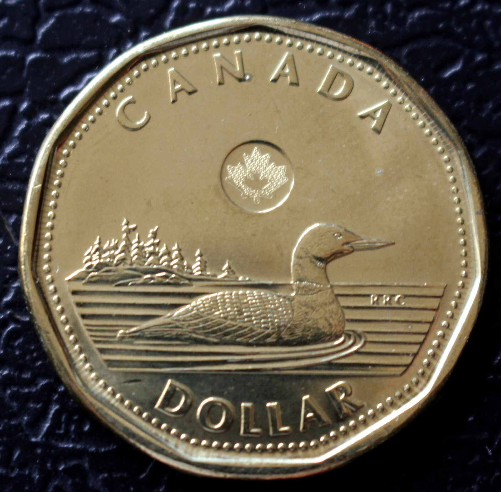 2013 CANADA $1 LOONIE UNC - BRASS PLATED STEEL - Queen Elizabeth II