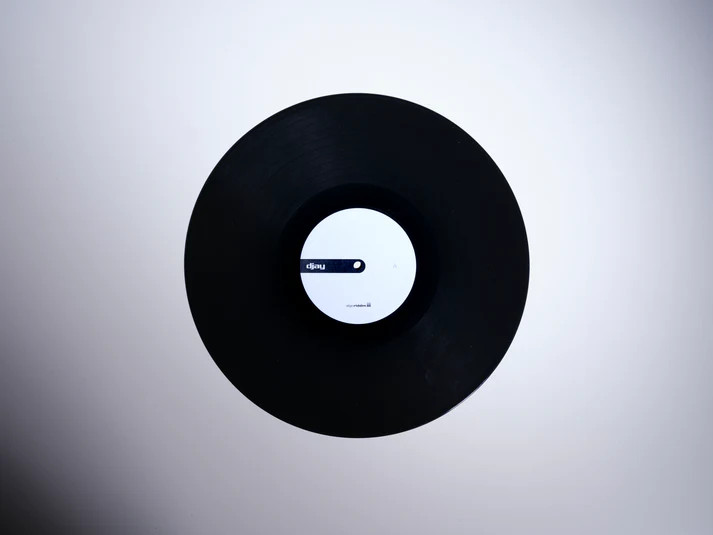 Algoriddim djay Pro 12" Control Vinyl (Black Single)