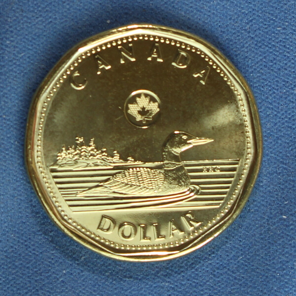 Canada 2013 Loonie (One Dollar) from a Mint Roll
