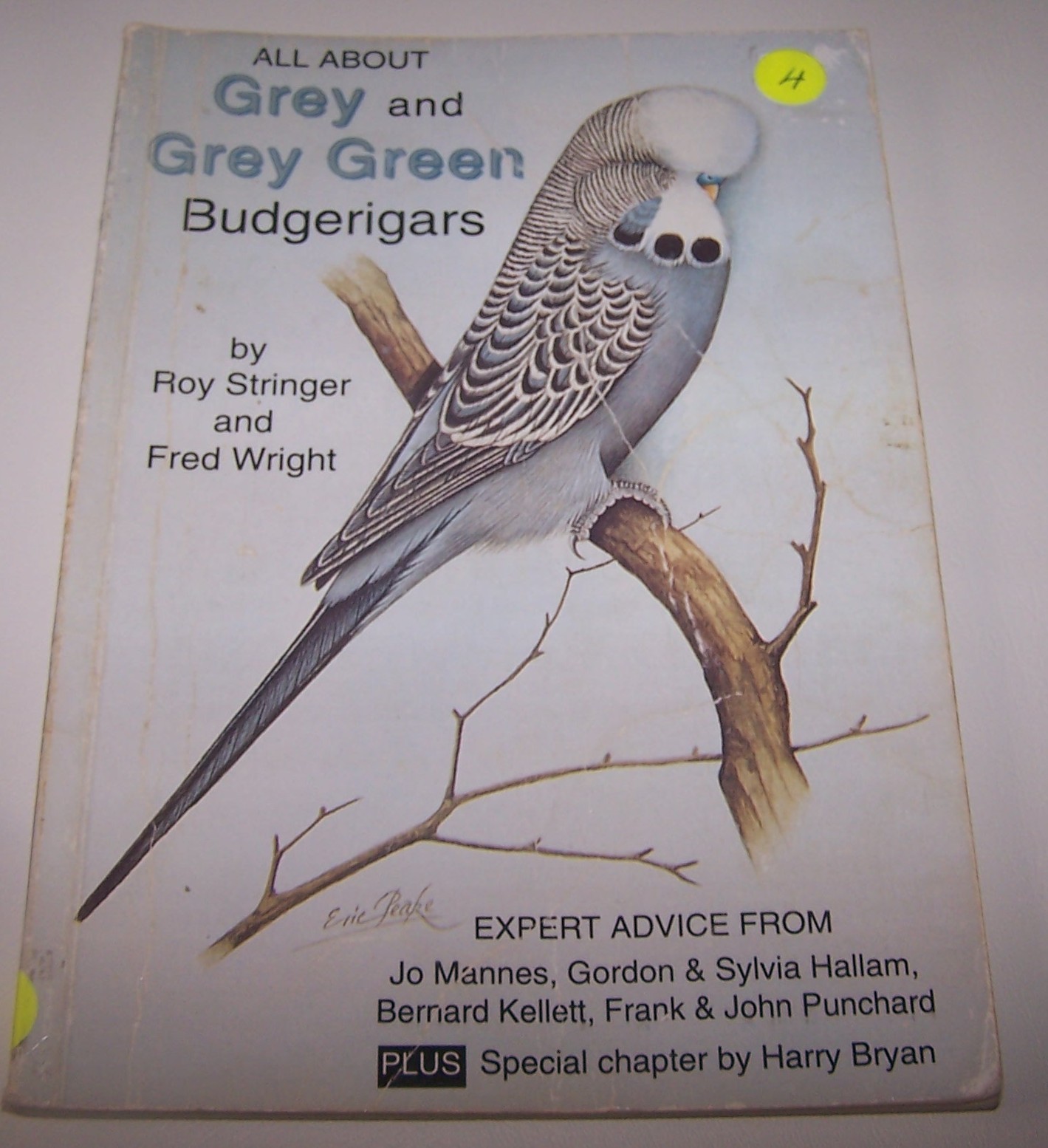 ALL ABOUT GREY AND GREY GREEN BUDGERIGARS BY ROY STRINGER AND FRED WRIGHT