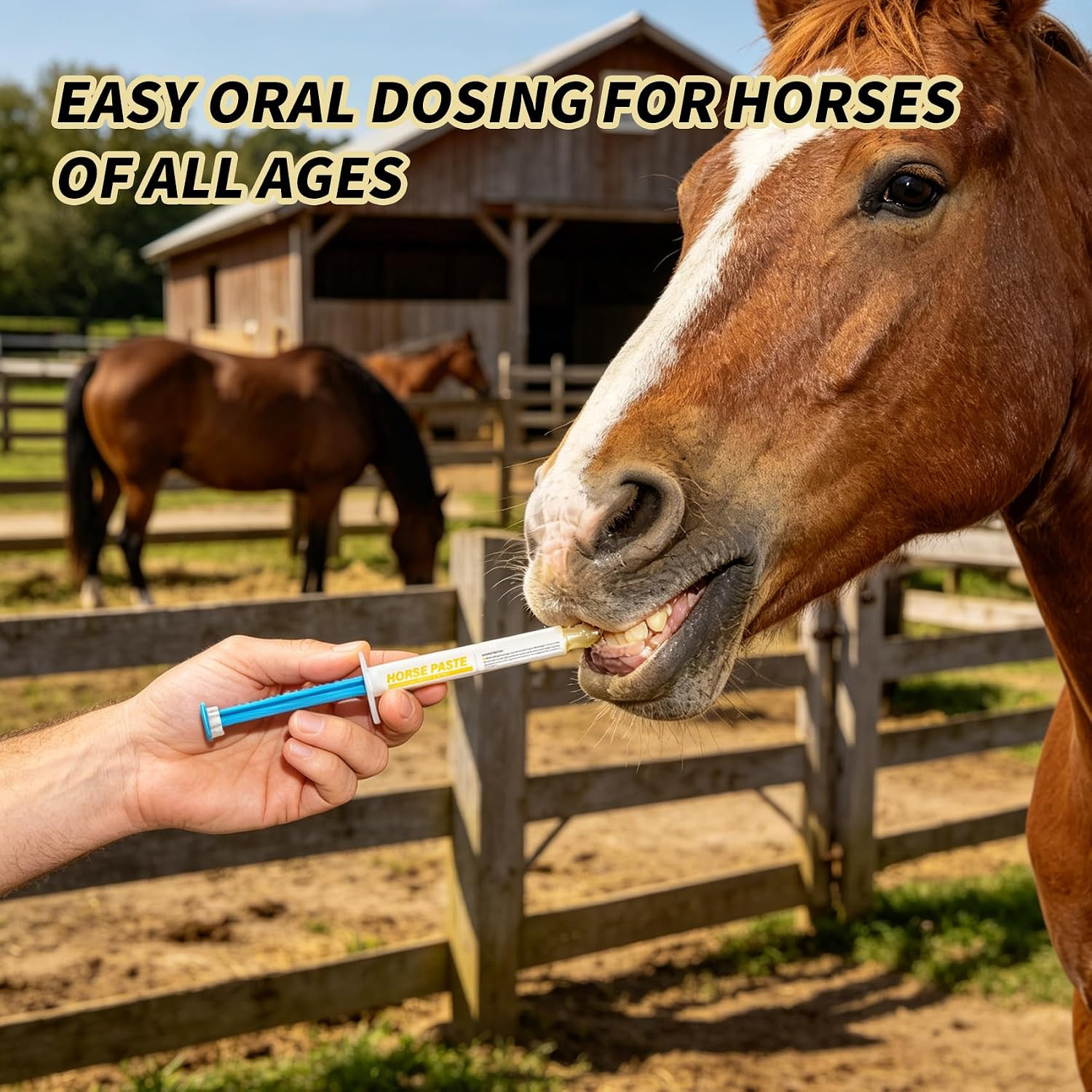 Paste 1.87% | Apple Flavored – 6.08g Tube for Horses, 6-Pack