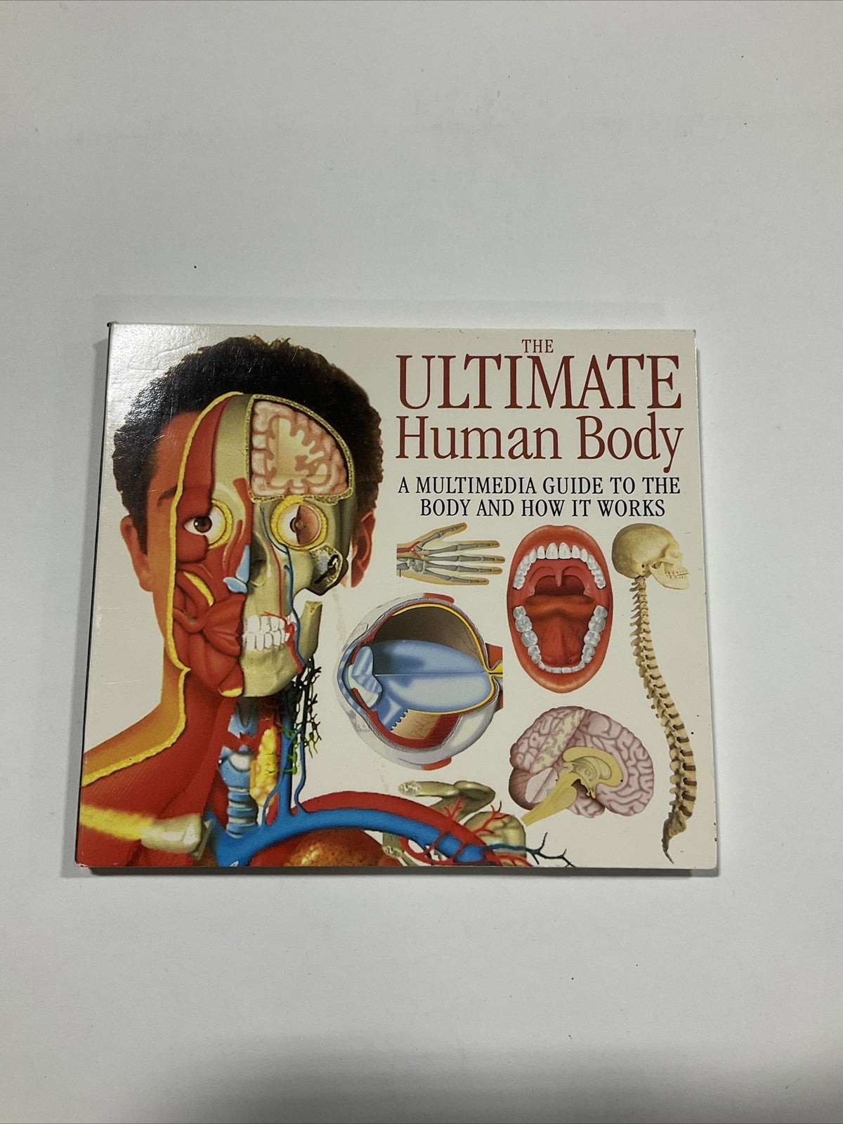 Ultimate Human Body CD Rom PC Computer Windows Dorling Kindersley
