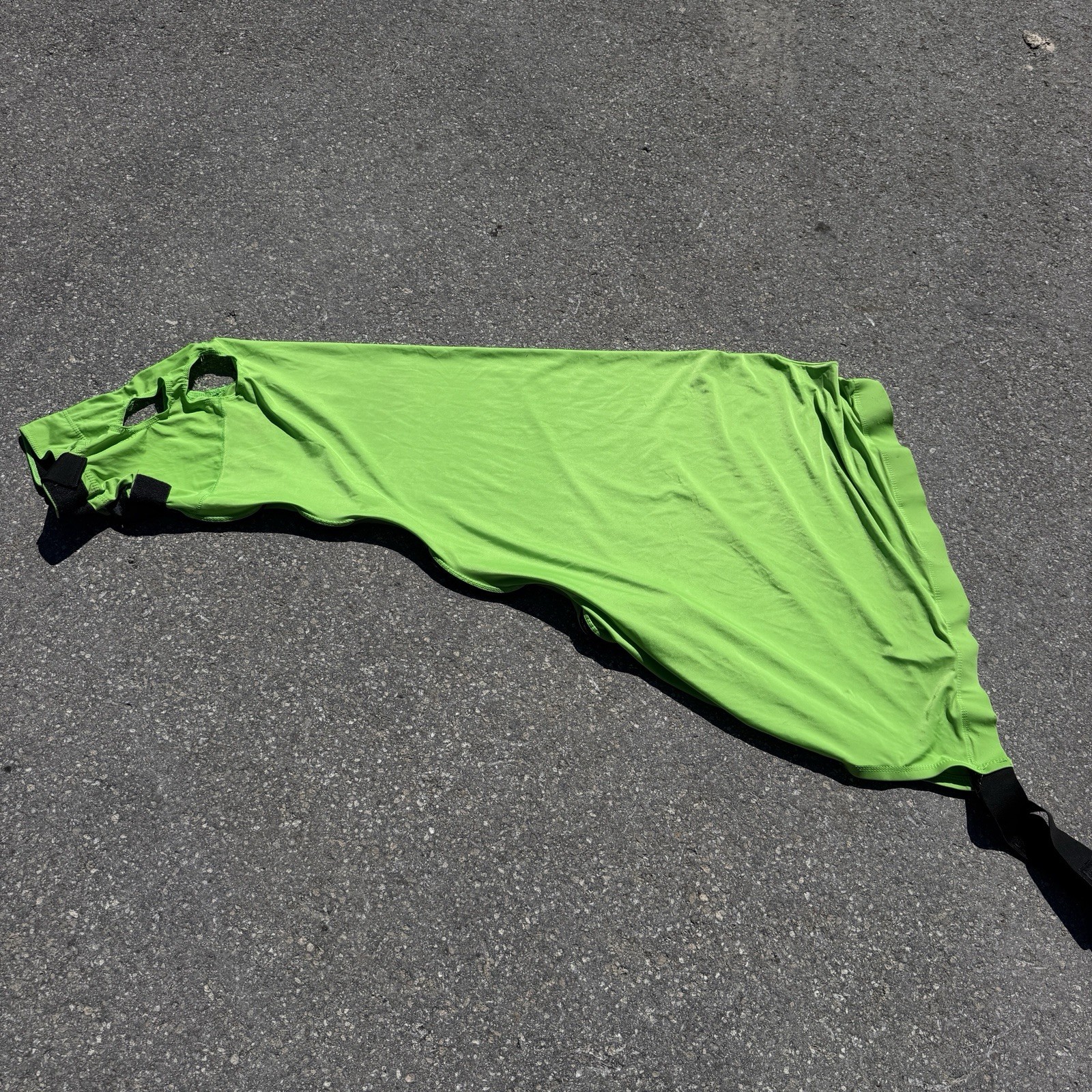 Large Green Horse Sleazy Hood