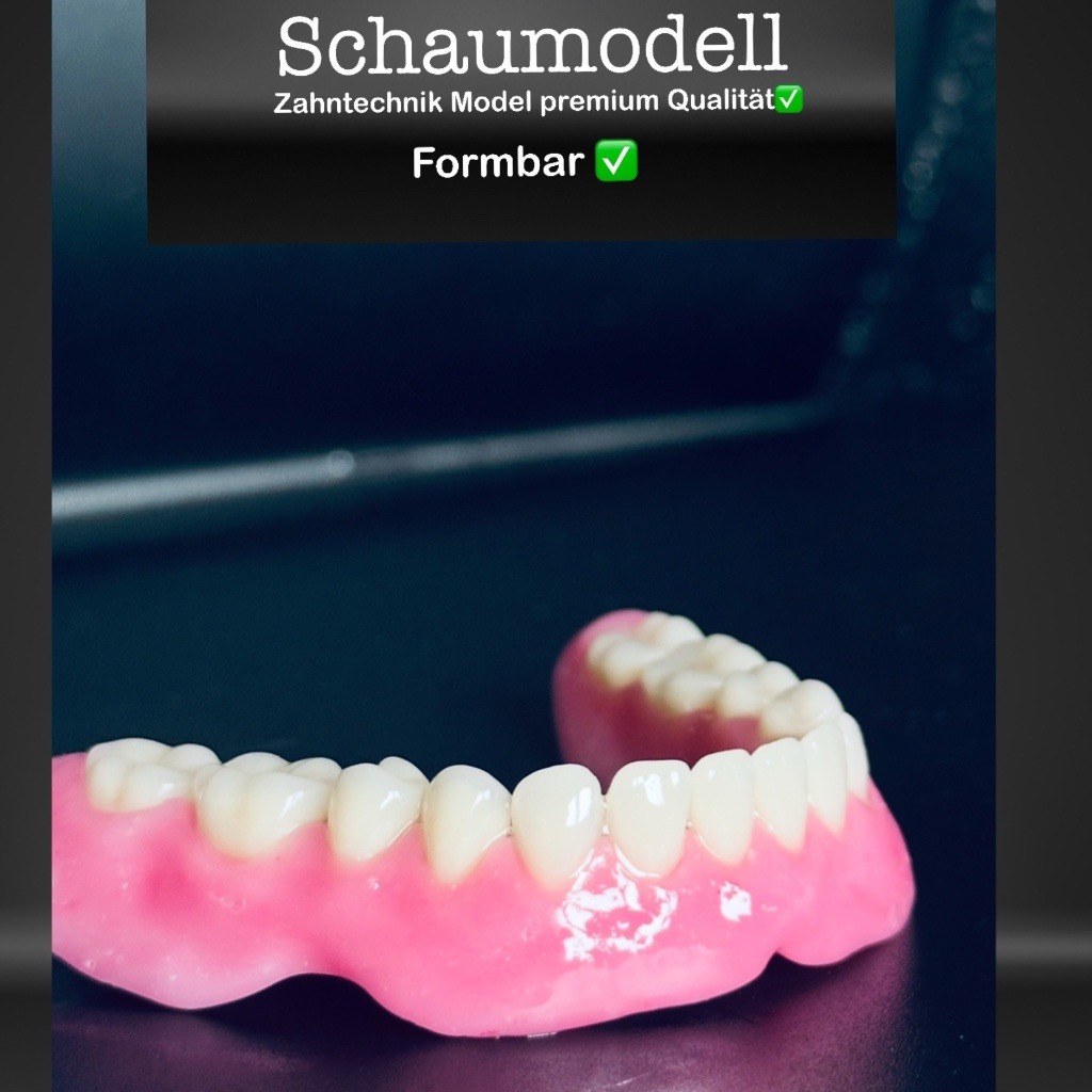 Foam model, teaching model prostheses model dental technology model, tooth