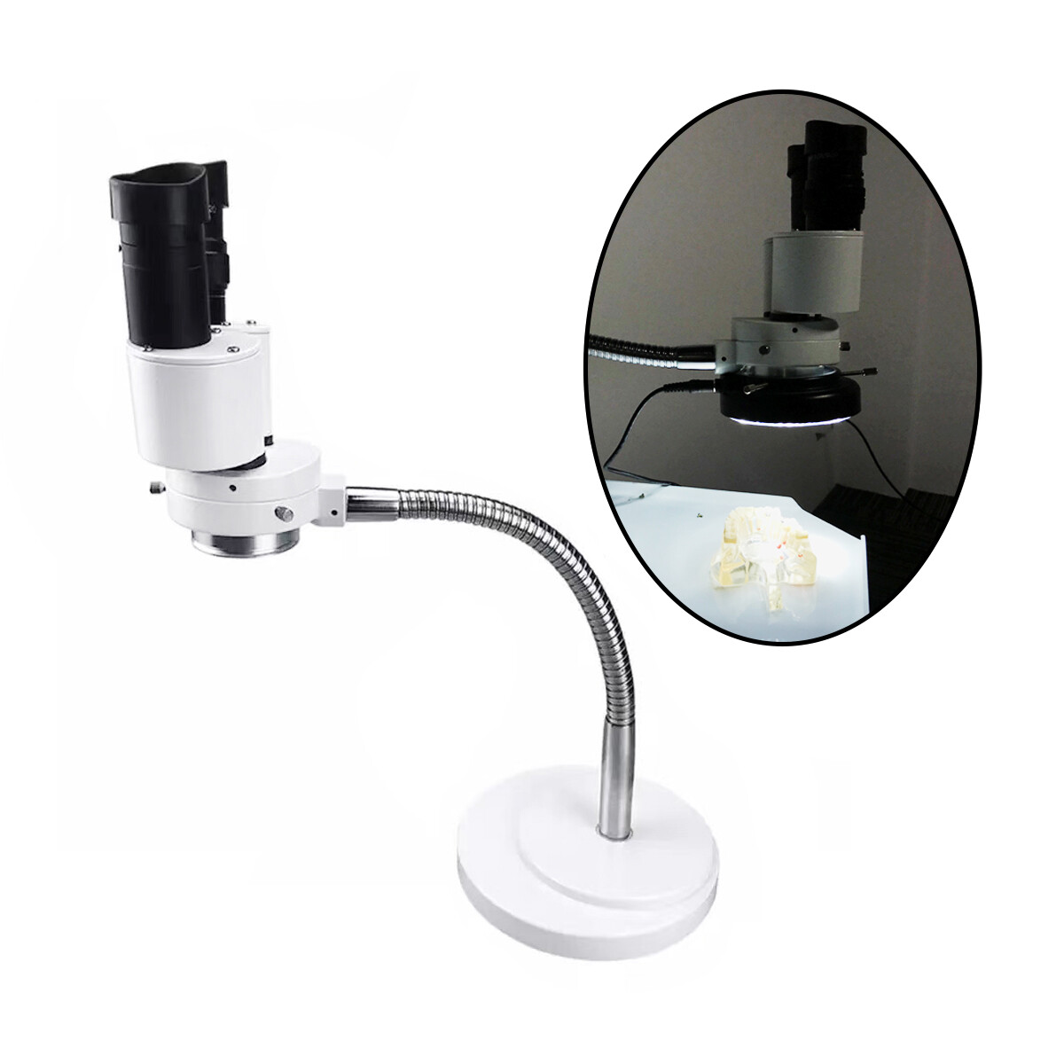 10X Dental Stereo Operating Binocular Microscope with LED Light Adjustable US