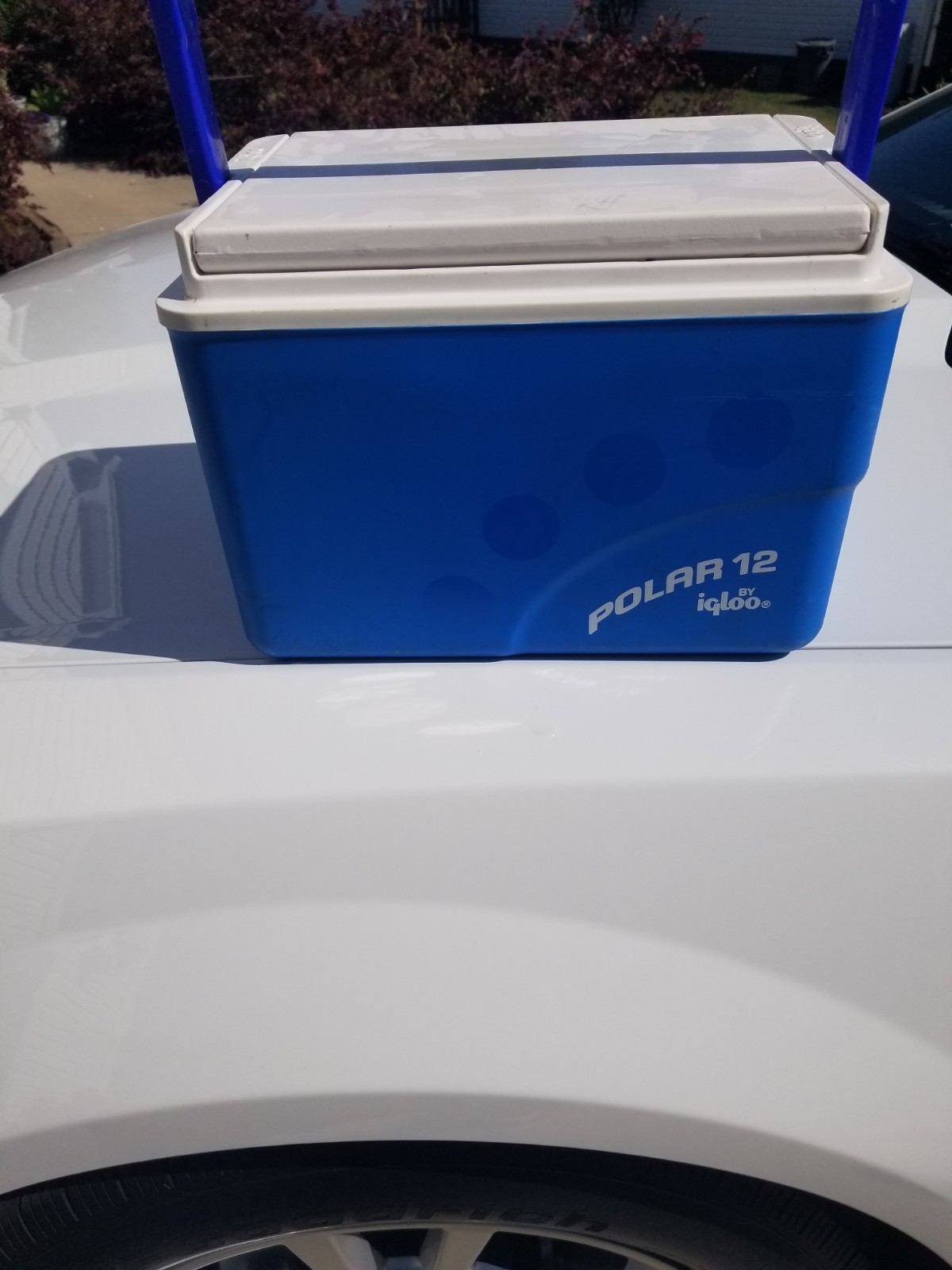 Vtg Igloo Polar 12 Cooler Ice Chest FlipTop Blue Handle 1993 USA RARE!.🥶🔥🥶🔥!