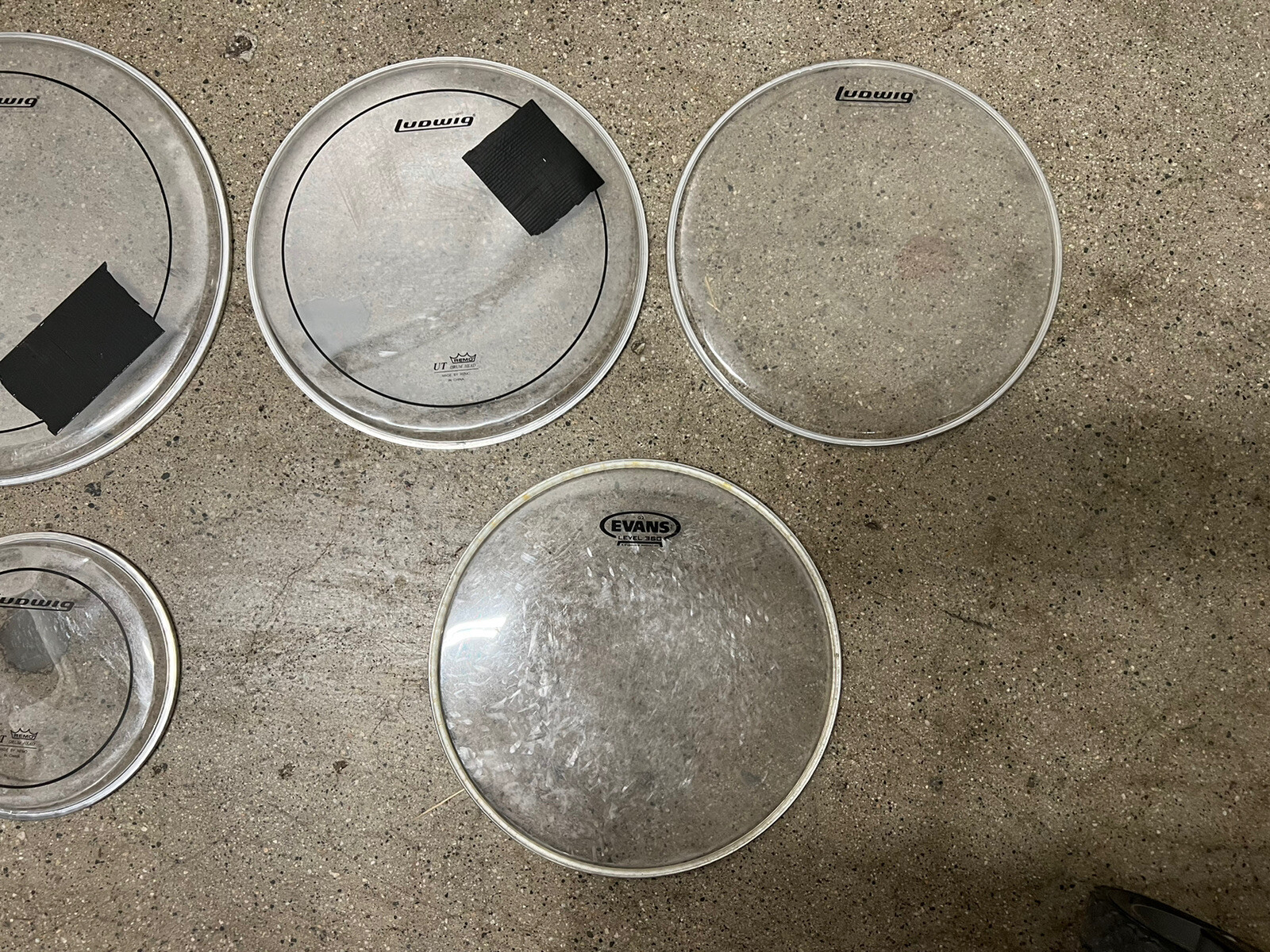 DRUM HEAD LOT LUDWIG EVANS CLEAR