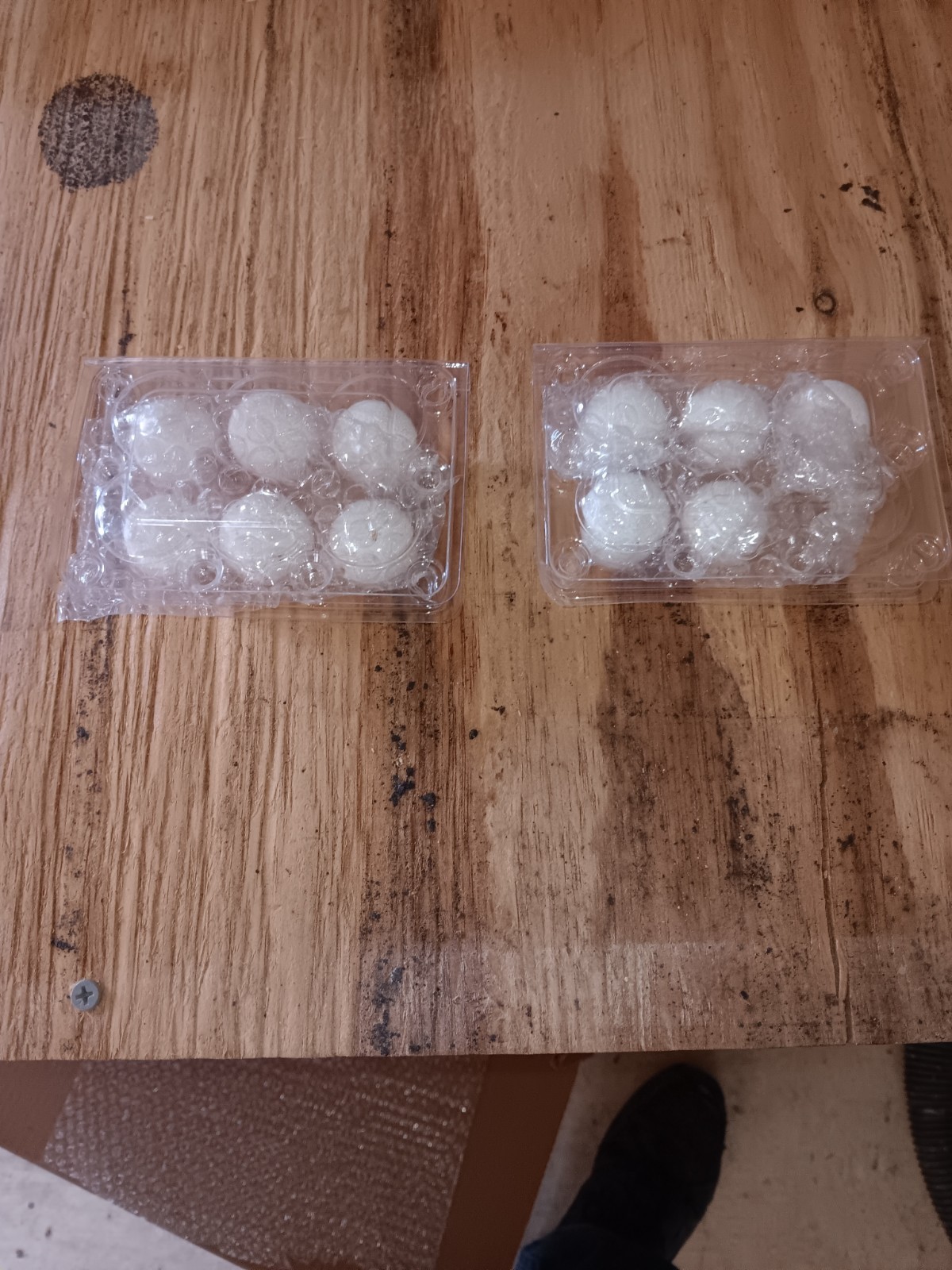 20 Bobwhite quail hatching eggs ,NPIP ,Free Priority Mail shipping