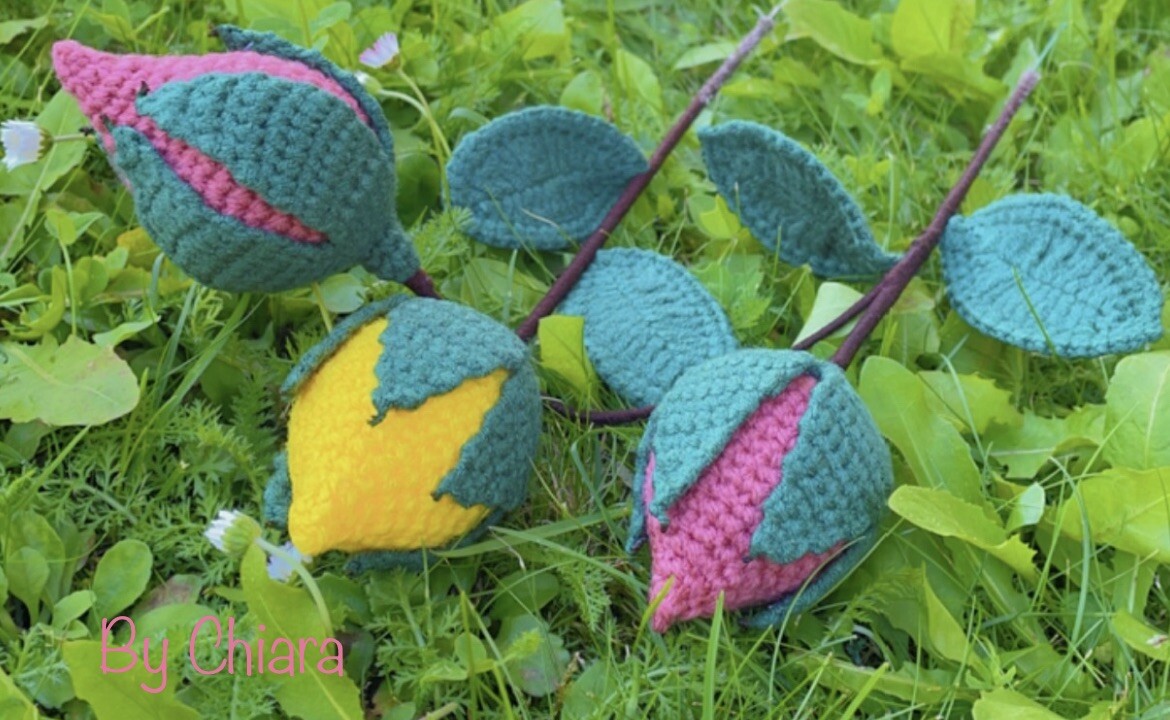Rose Crochet